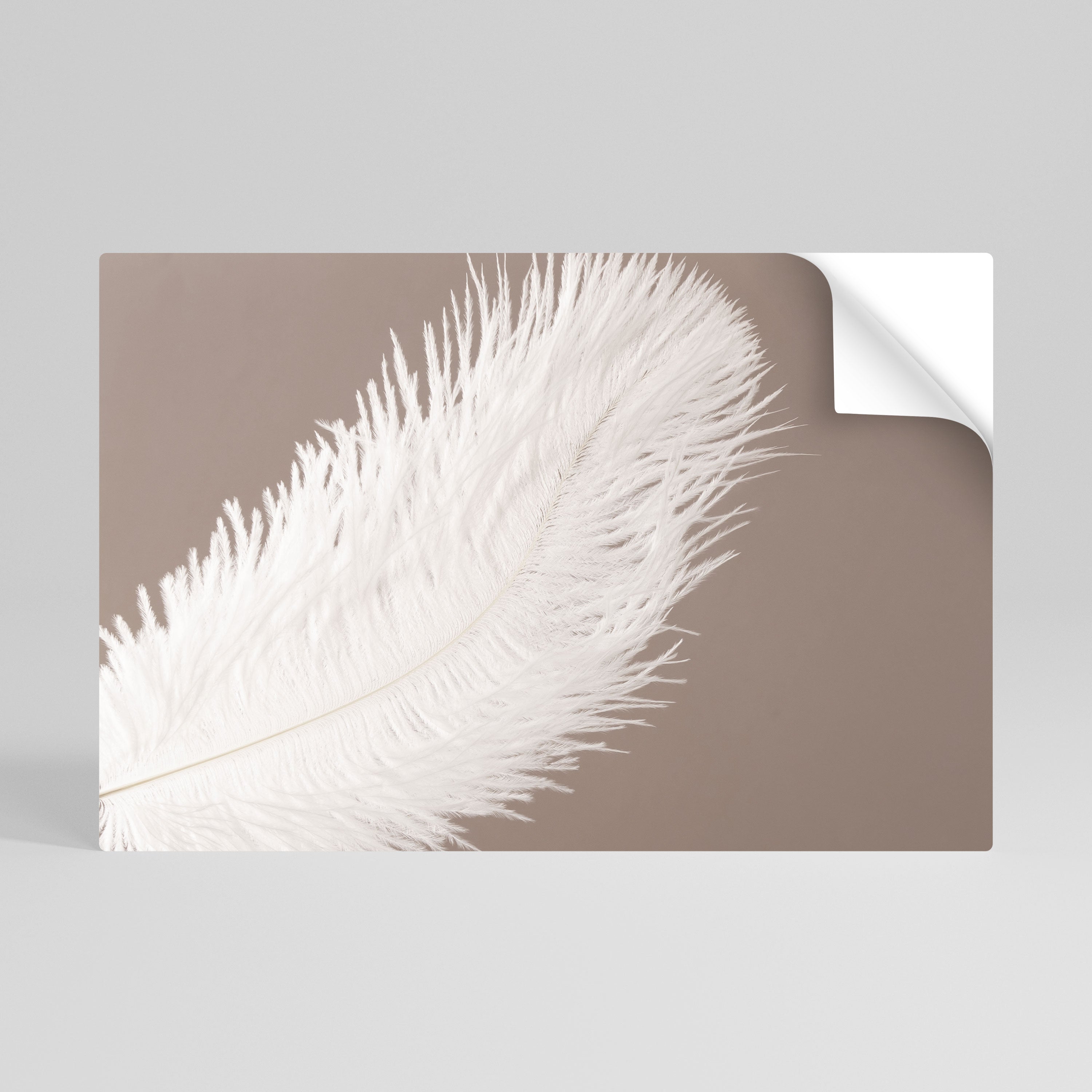 SOFT SERENITY Naklejka/Plakat poziomy