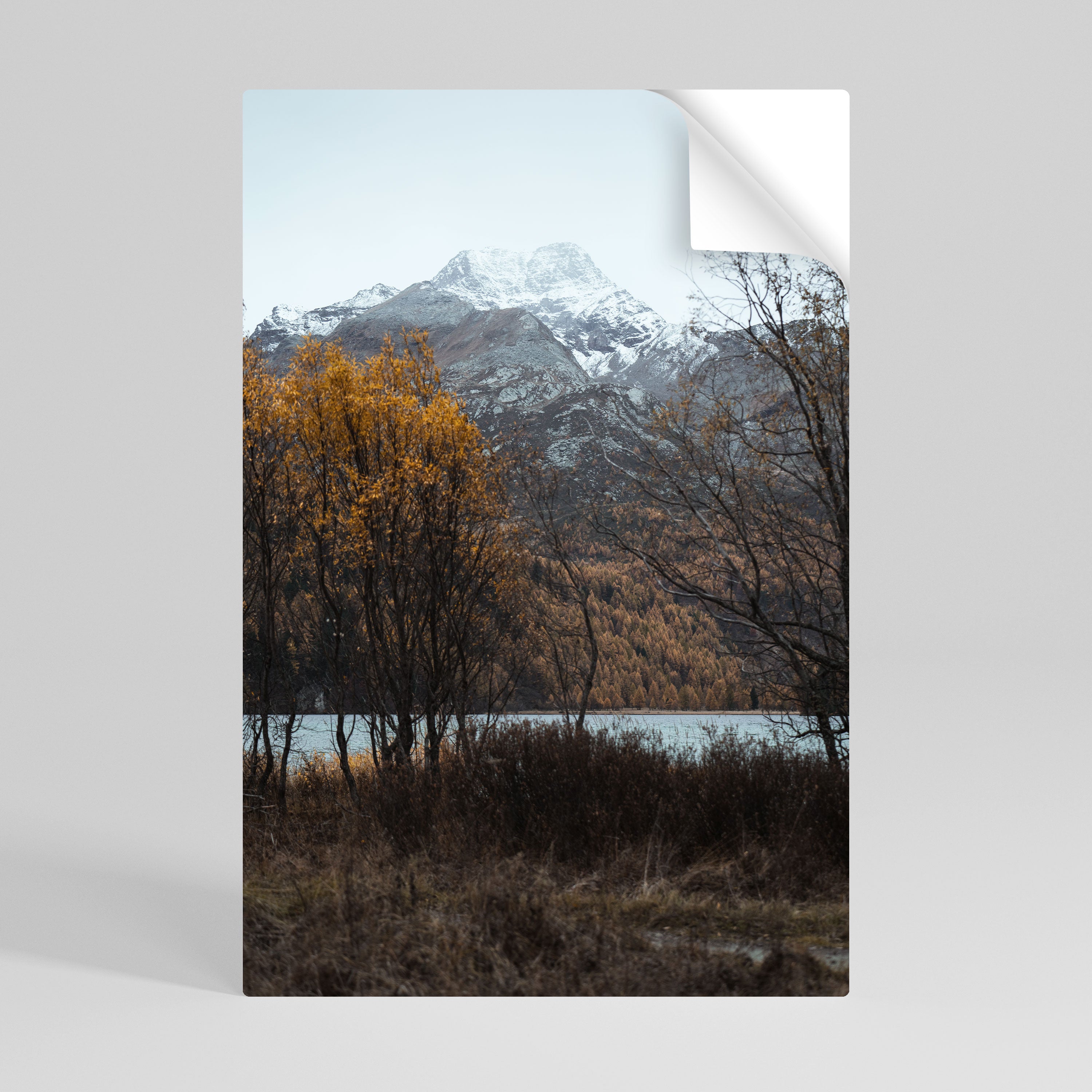 AUTUMN'S SILENT EMBRACE Naklejka/Plakat pionowy