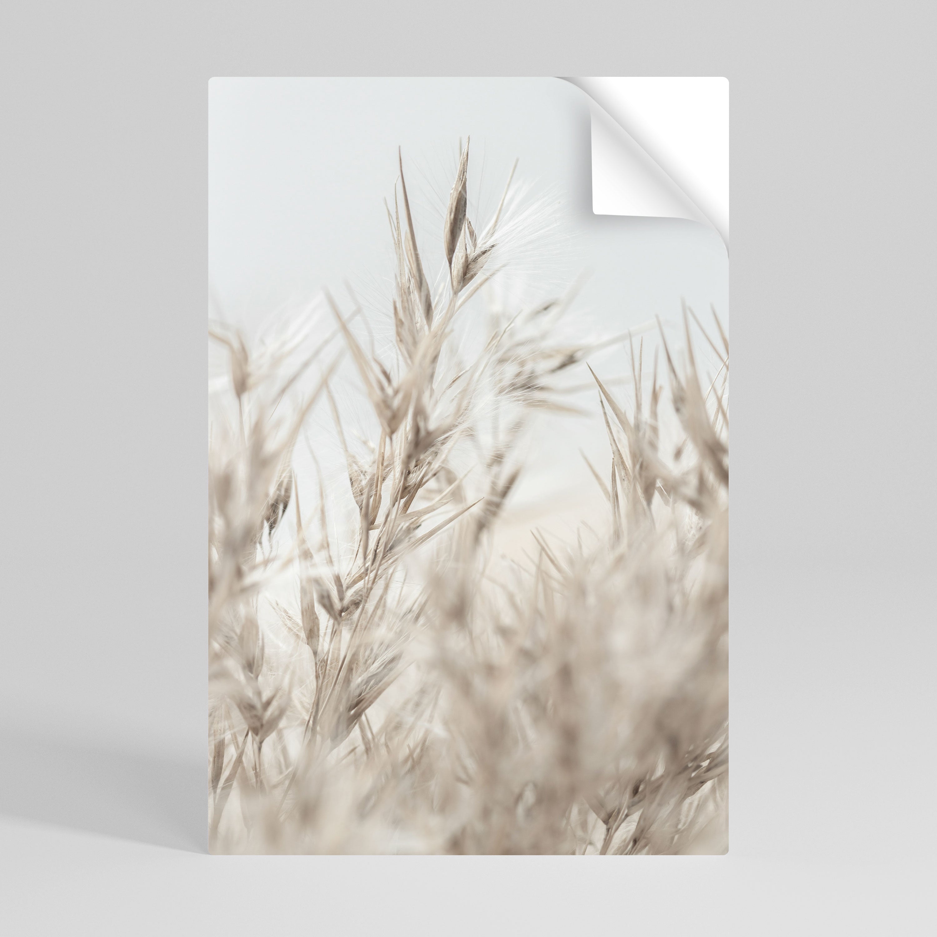 TRANQUIL GRASSES Naklejka/Plakat pionowy
