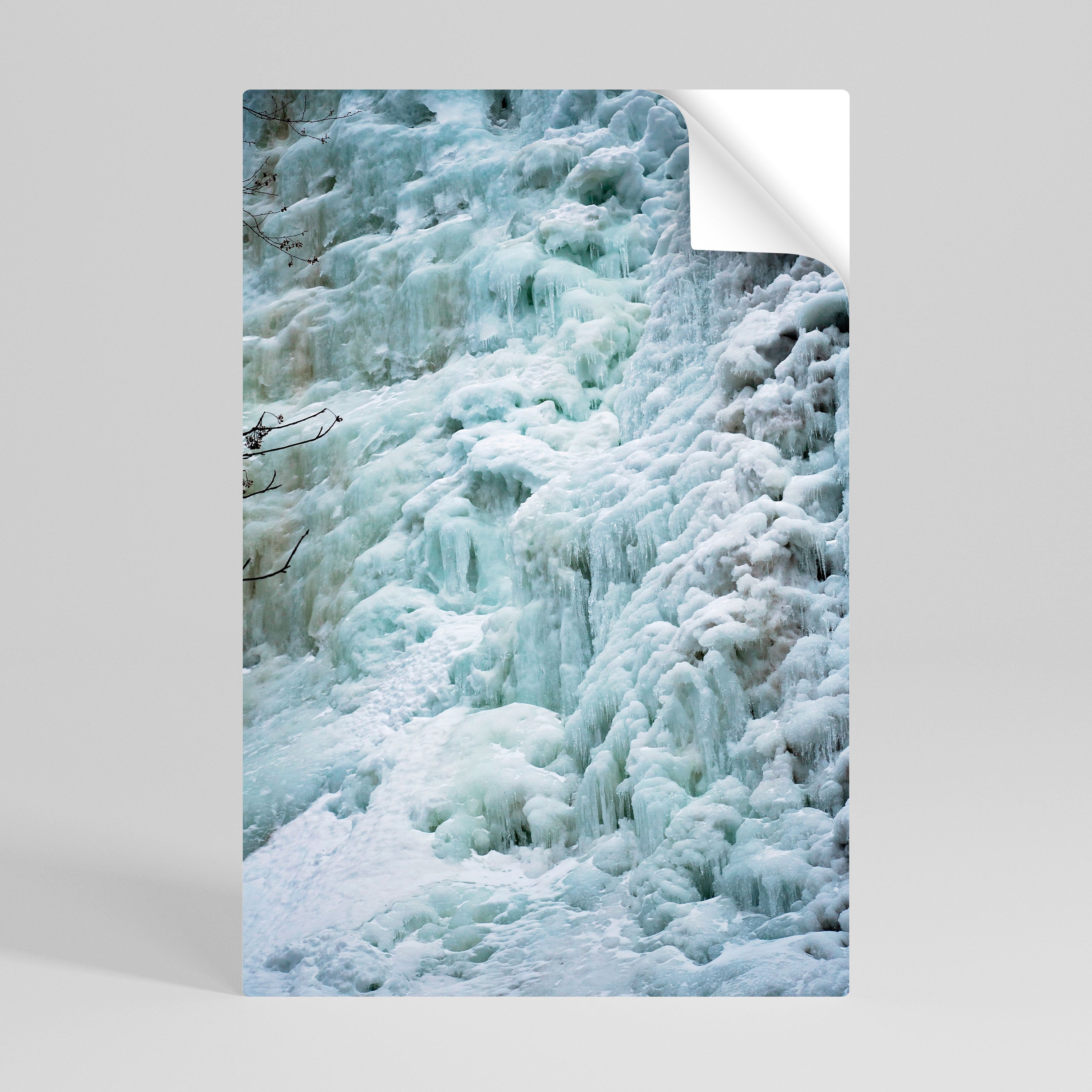 FROSTED WHISPERS Naklejka/Plakat pionowy
