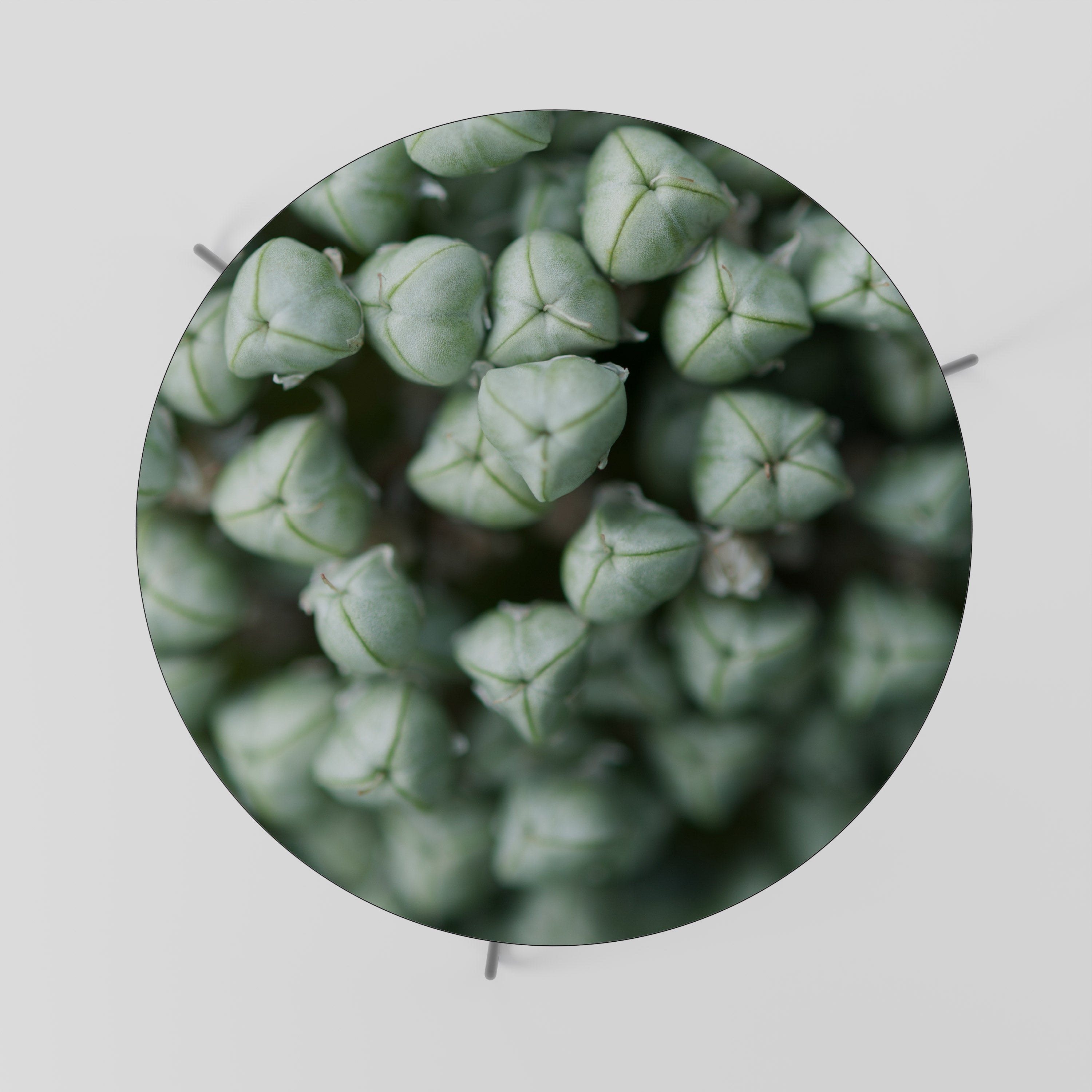 TEXTURED GREEN TIDBITS Stolik kawowy duży
