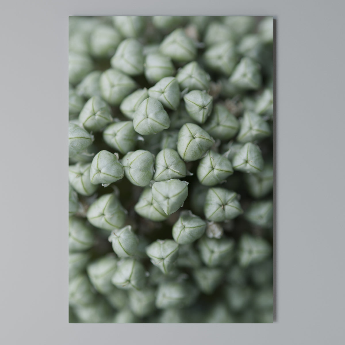 TEXTURED GREEN TIDBITS Pionowy obraz na płótnie