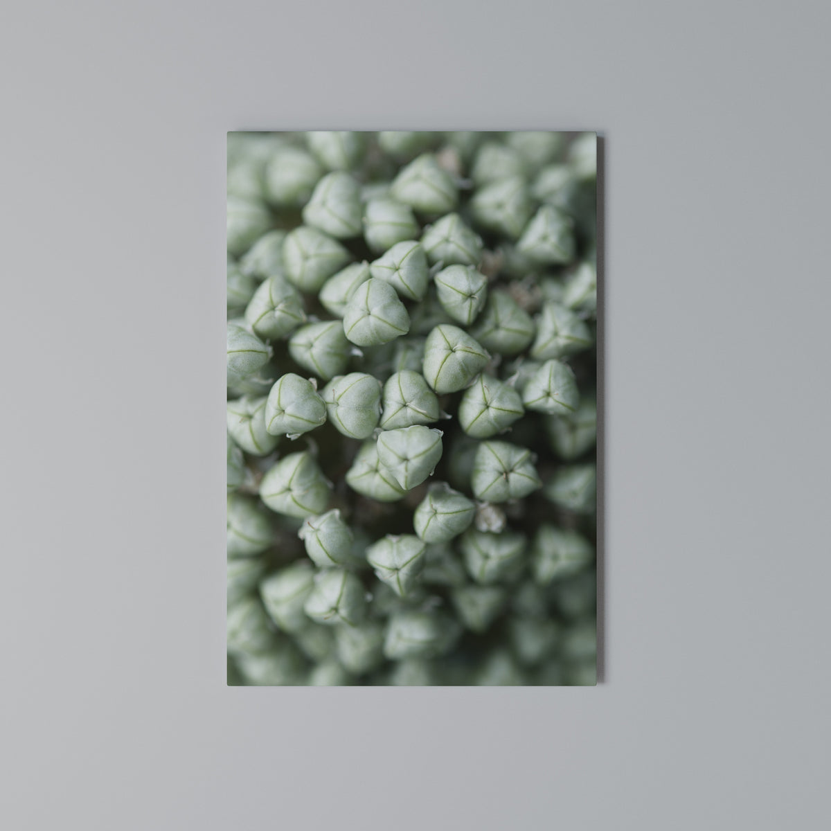 TEXTURED GREEN TIDBITS Pionowy obraz na płótnie