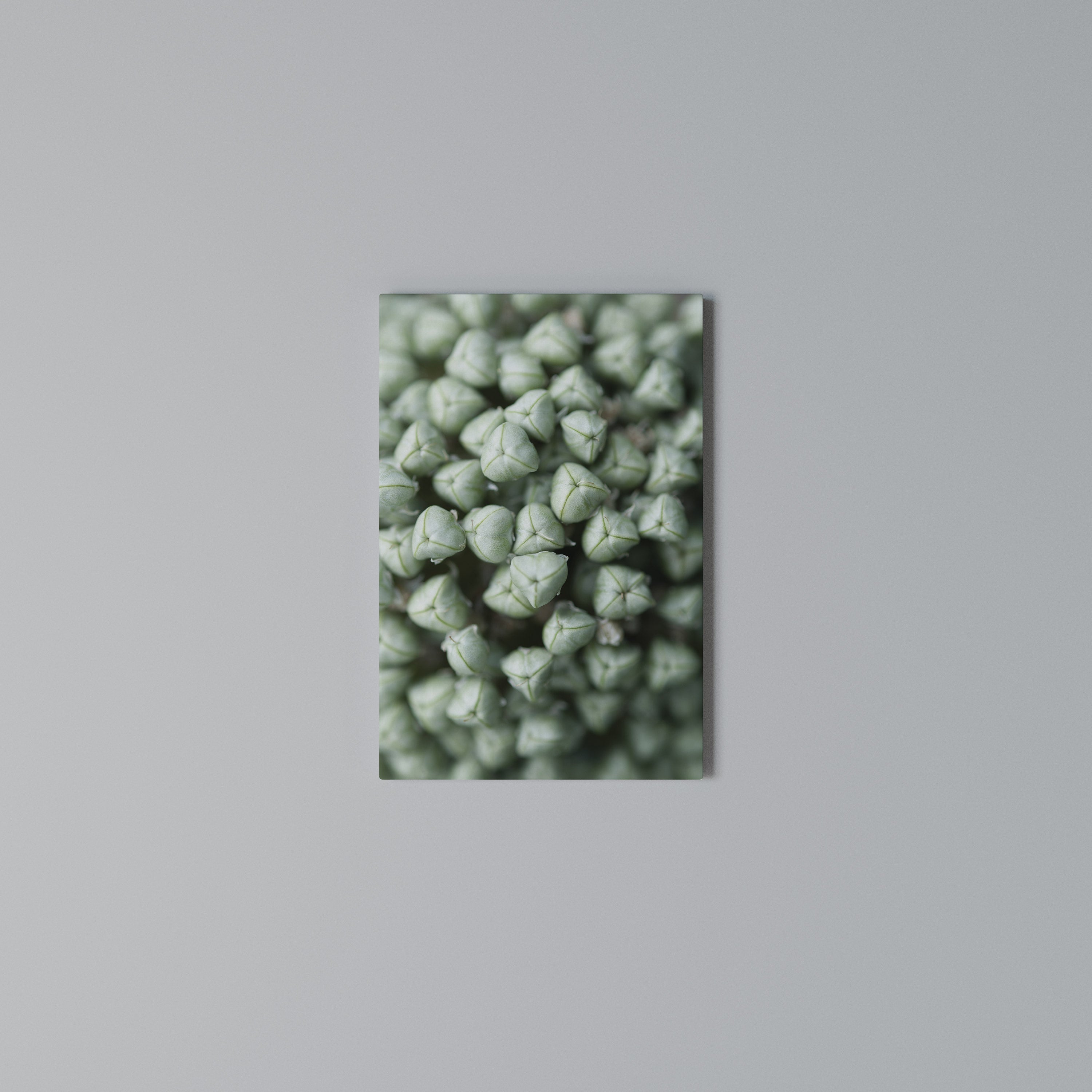 TEXTURED GREEN TIDBITS Pionowy obraz na płótnie