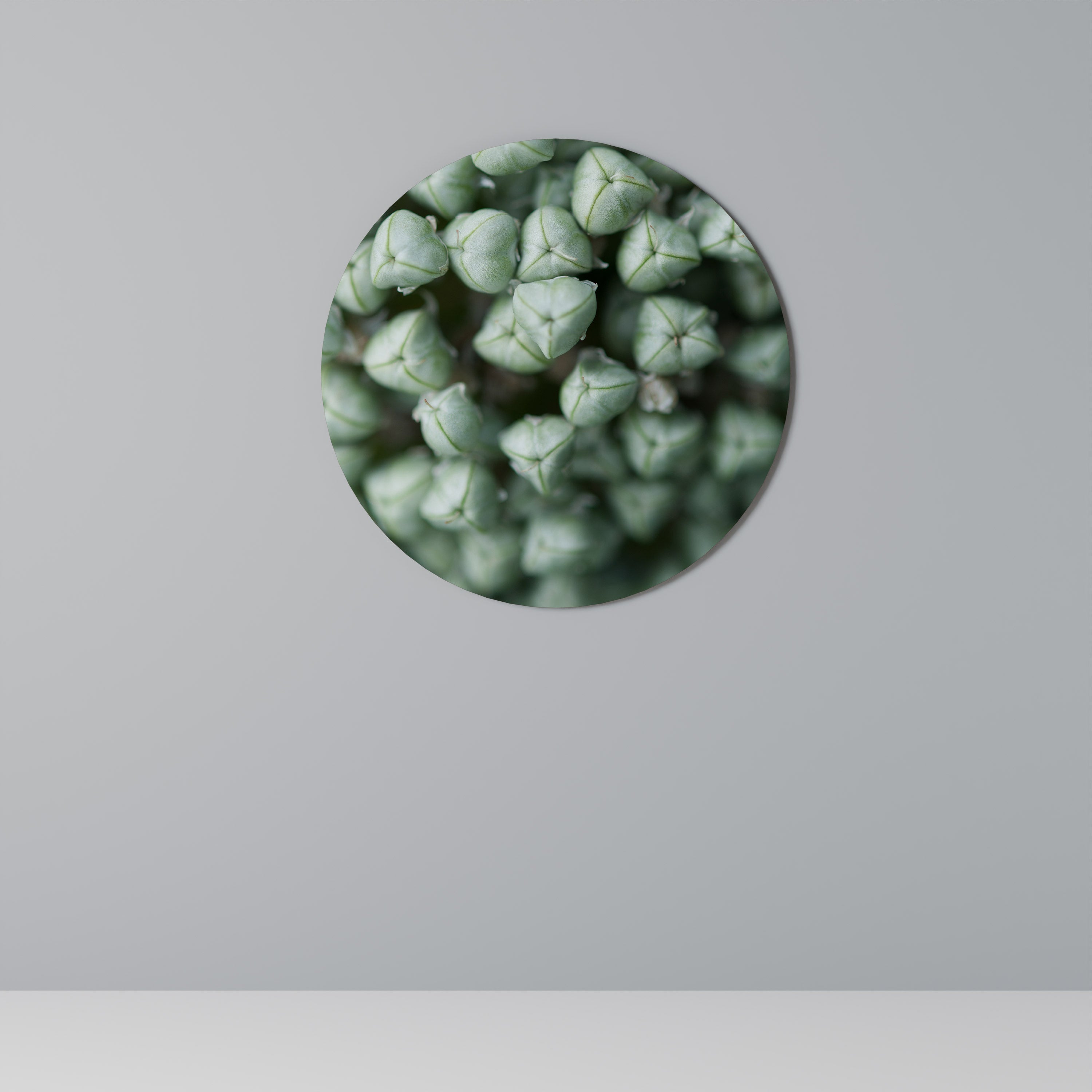 TEXTURED GREEN TIDBITS Obraz okrągły