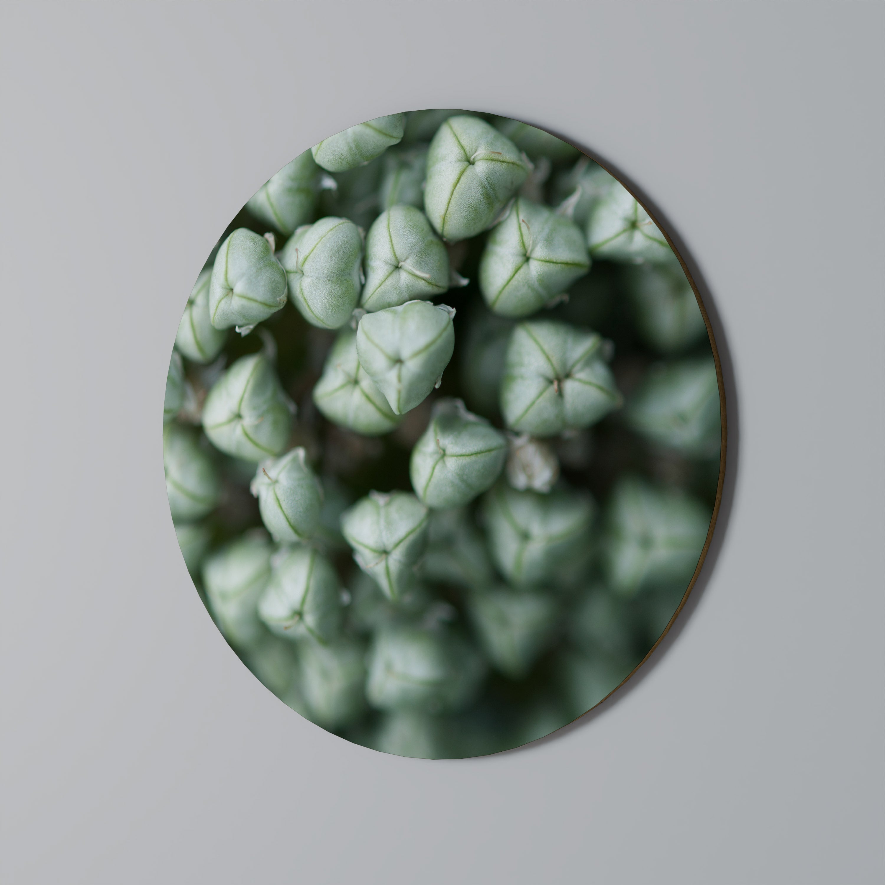 TEXTURED GREEN TIDBITS Obraz okrągły