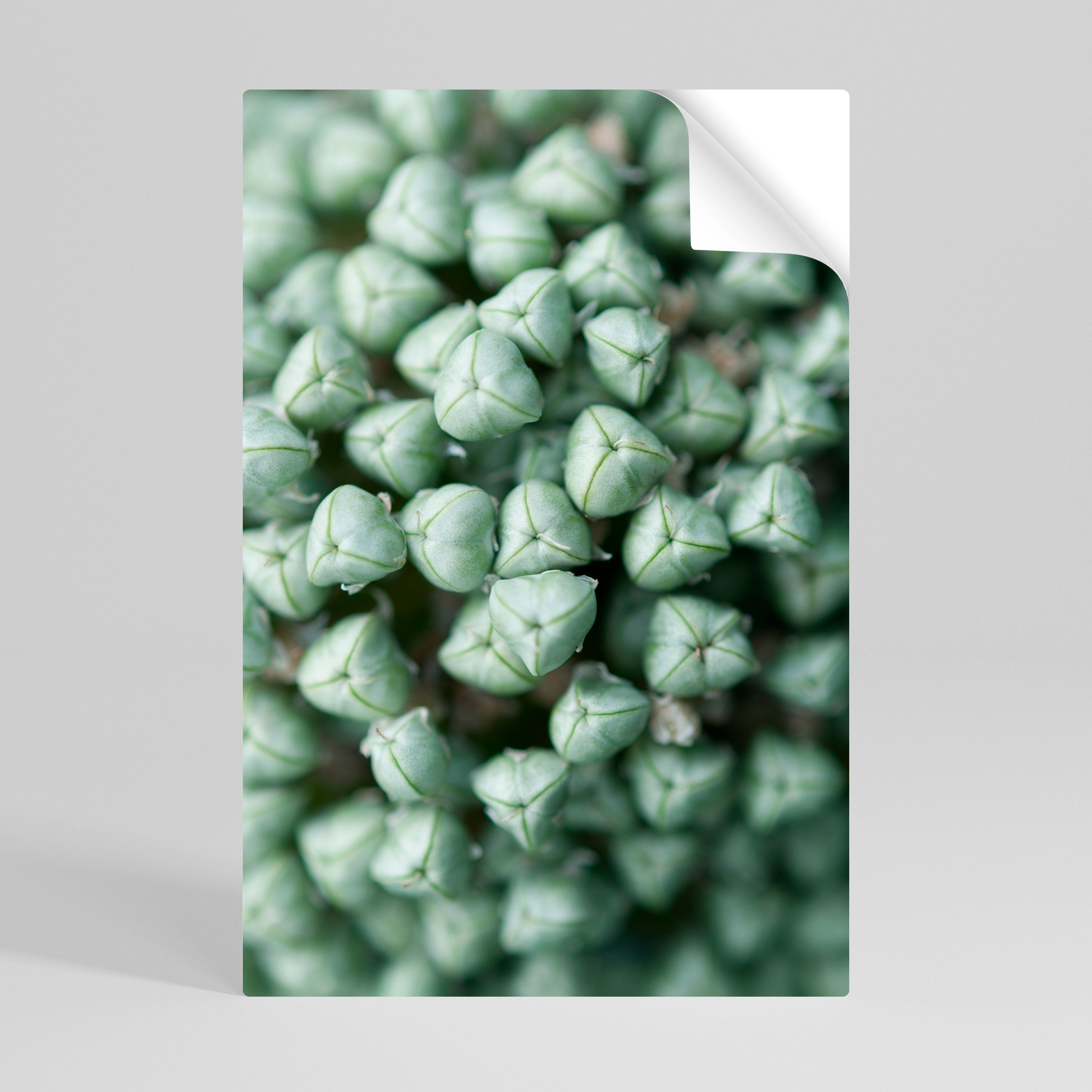 TEXTURED GREEN TIDBITS Naklejka/Plakat pionowy