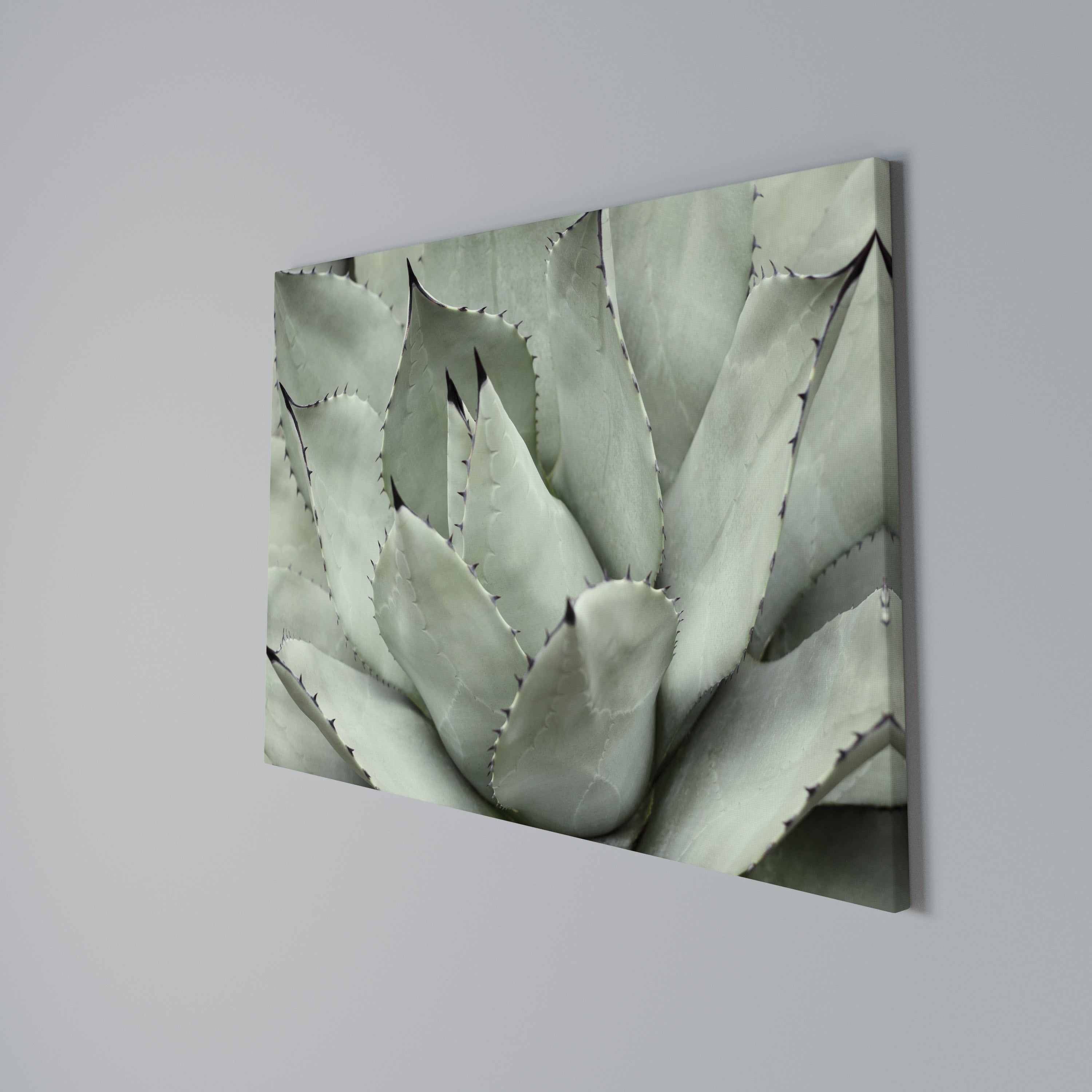 MYSTICAL SUCCULENT DREAM Poziomy obraz na płótnie