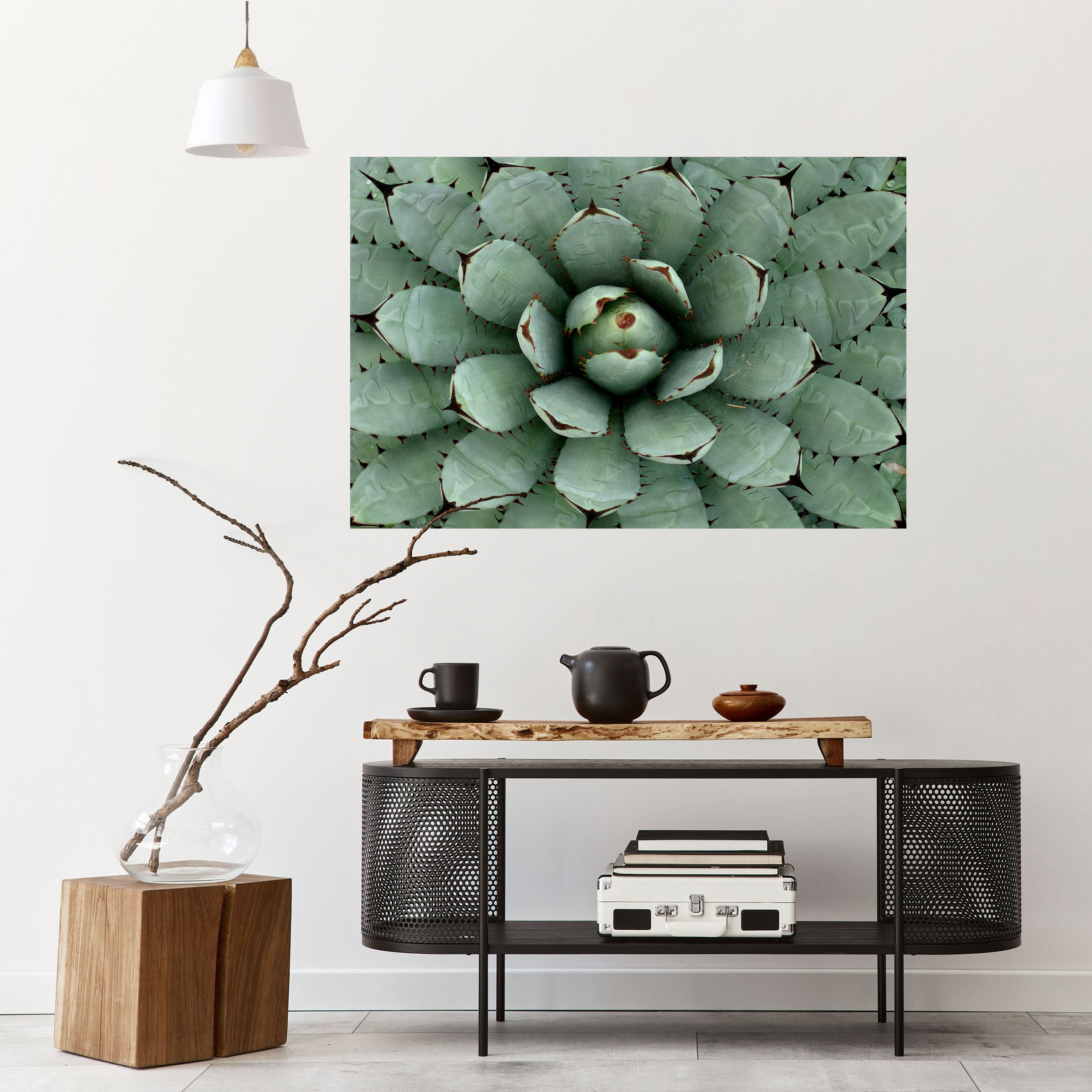 SUCCULENT SYMMETRY Naklejka/Plakat poziomy