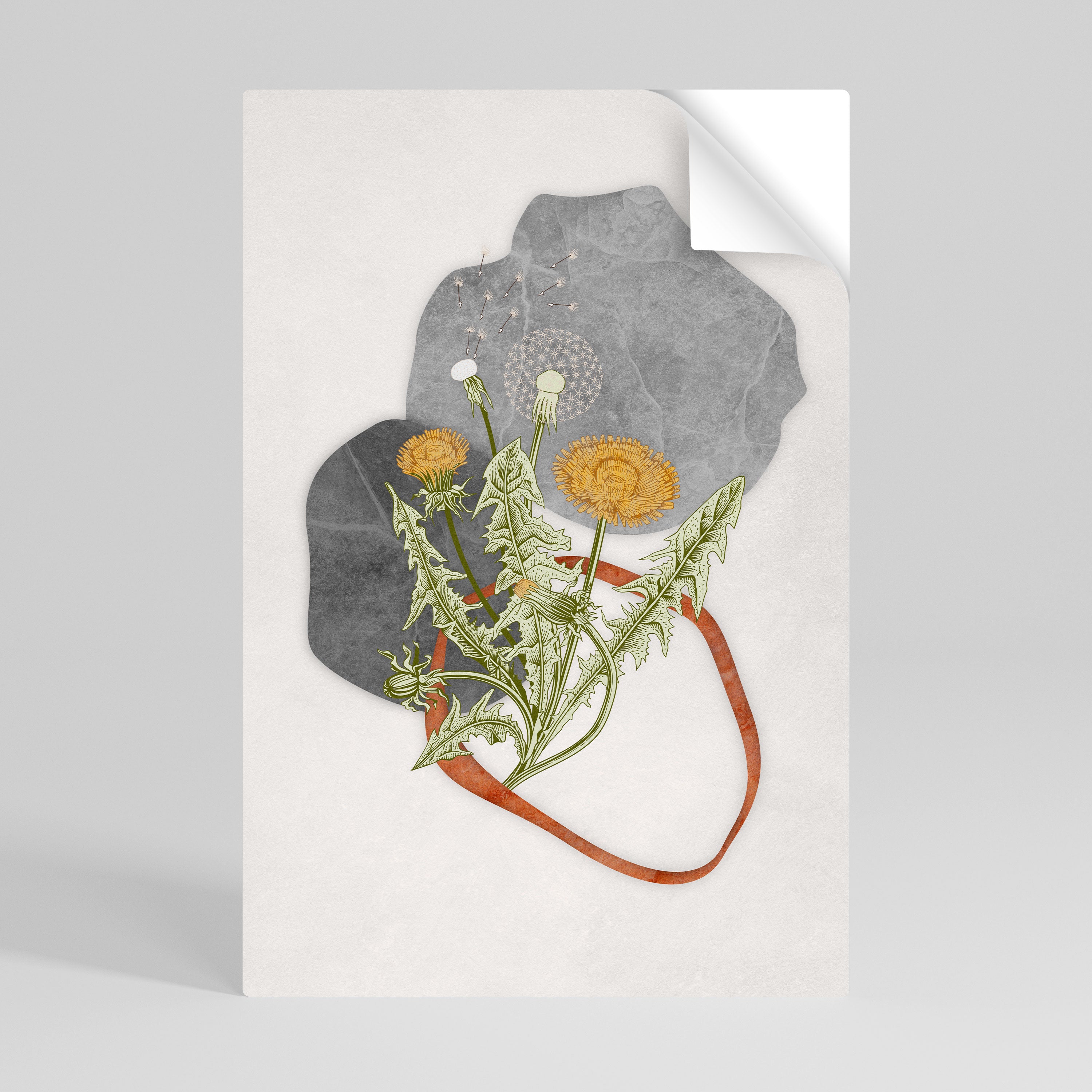 DANDELION RING Naklejka/Plakat pionowy
