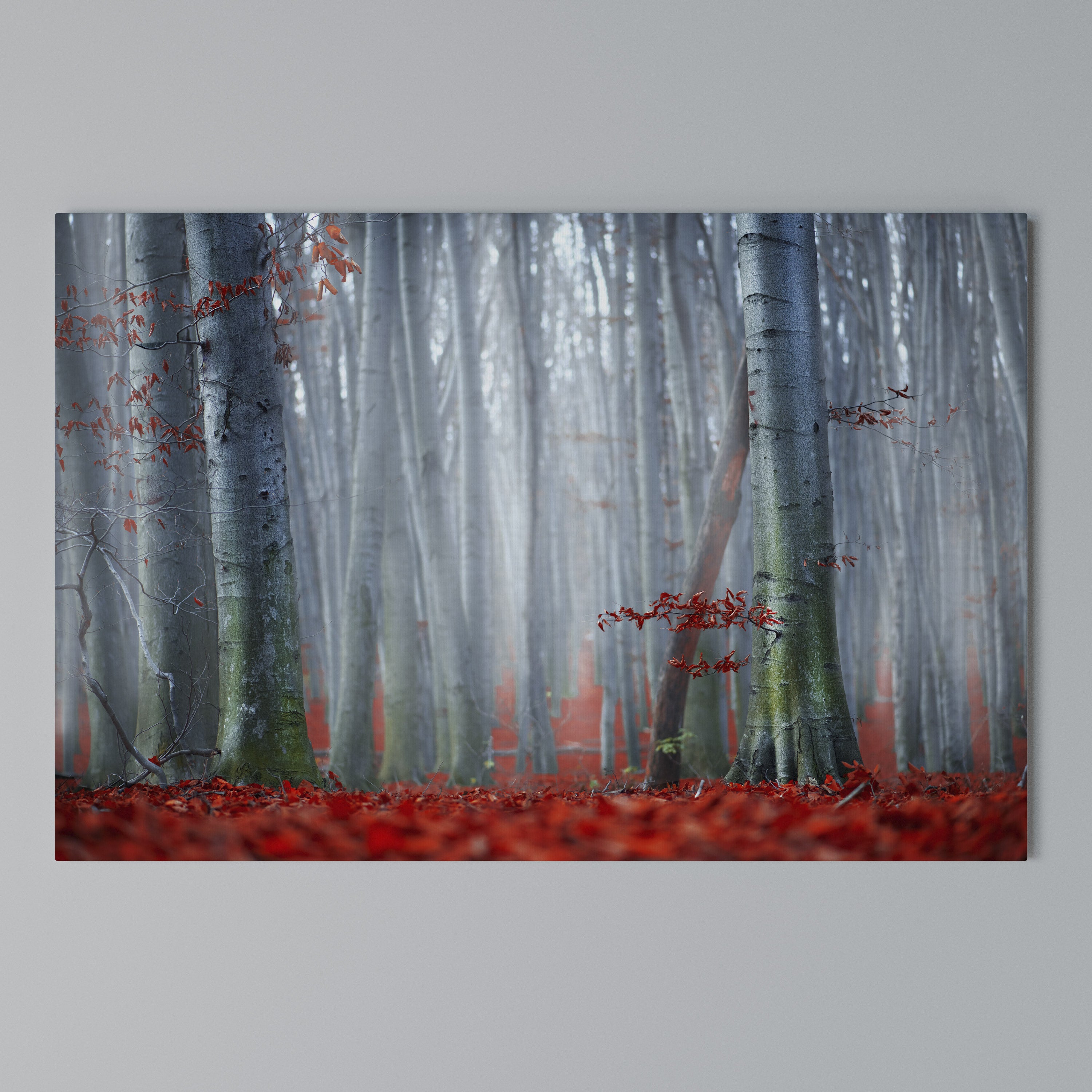 TRANQUIL RED ELEGANCE Poziomy obraz na płótnie