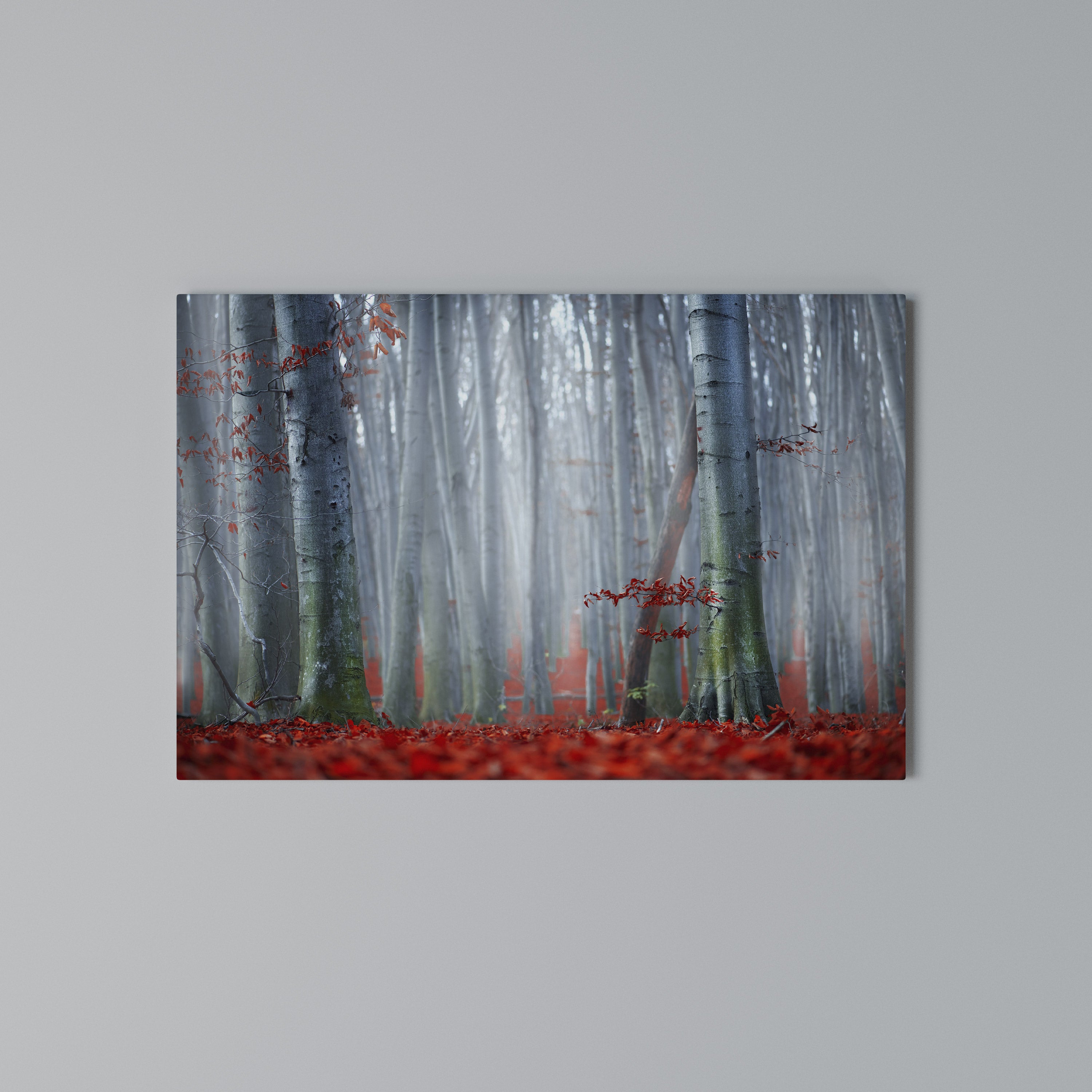 TRANQUIL RED ELEGANCE Poziomy obraz na płótnie