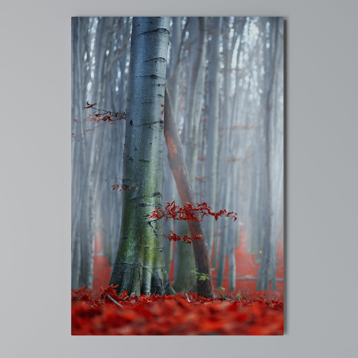 TRANQUIL RED ELEGANCE Pionowy obraz na płótnie