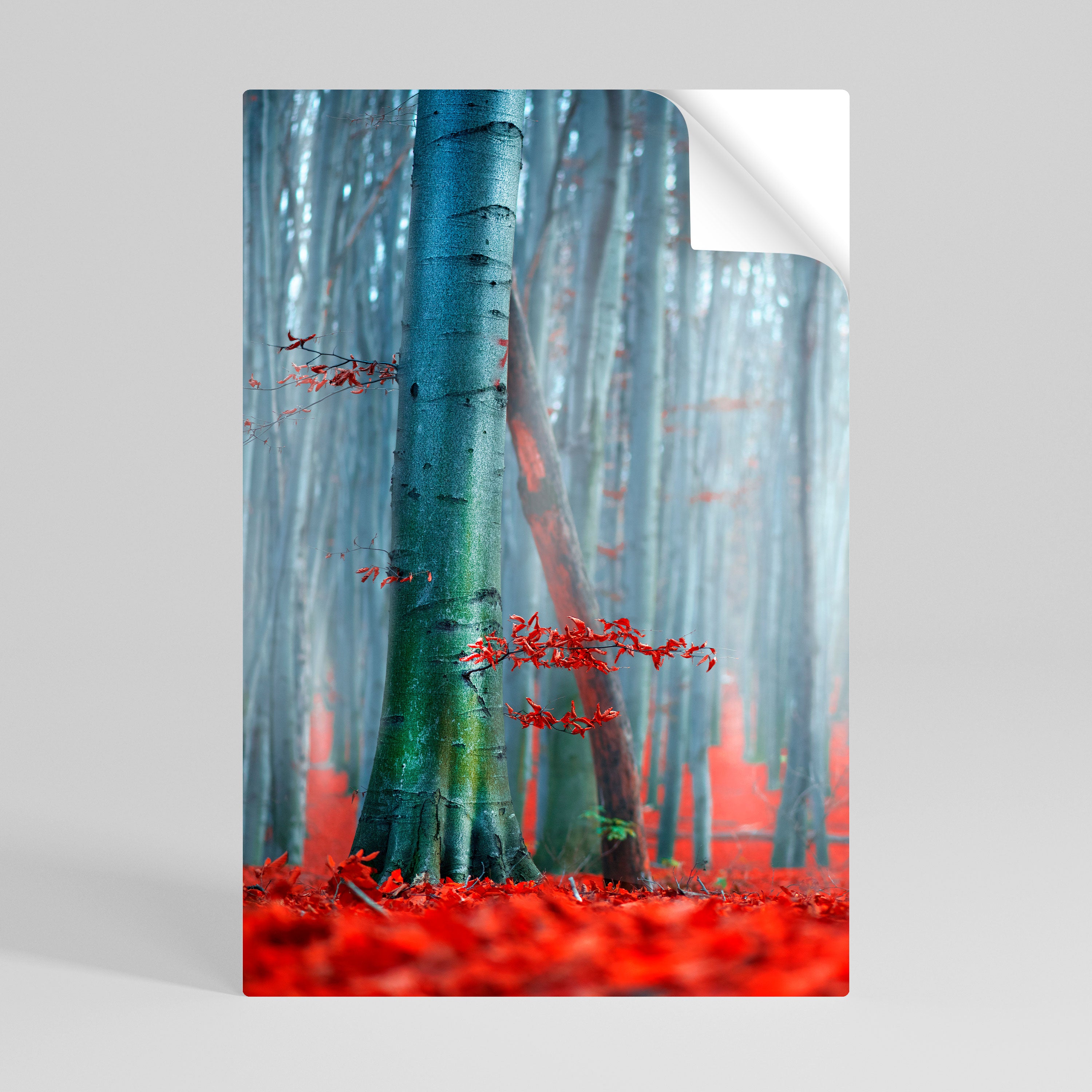 TRANQUIL RED ELEGANCE Naklejka/Plakat pionowy