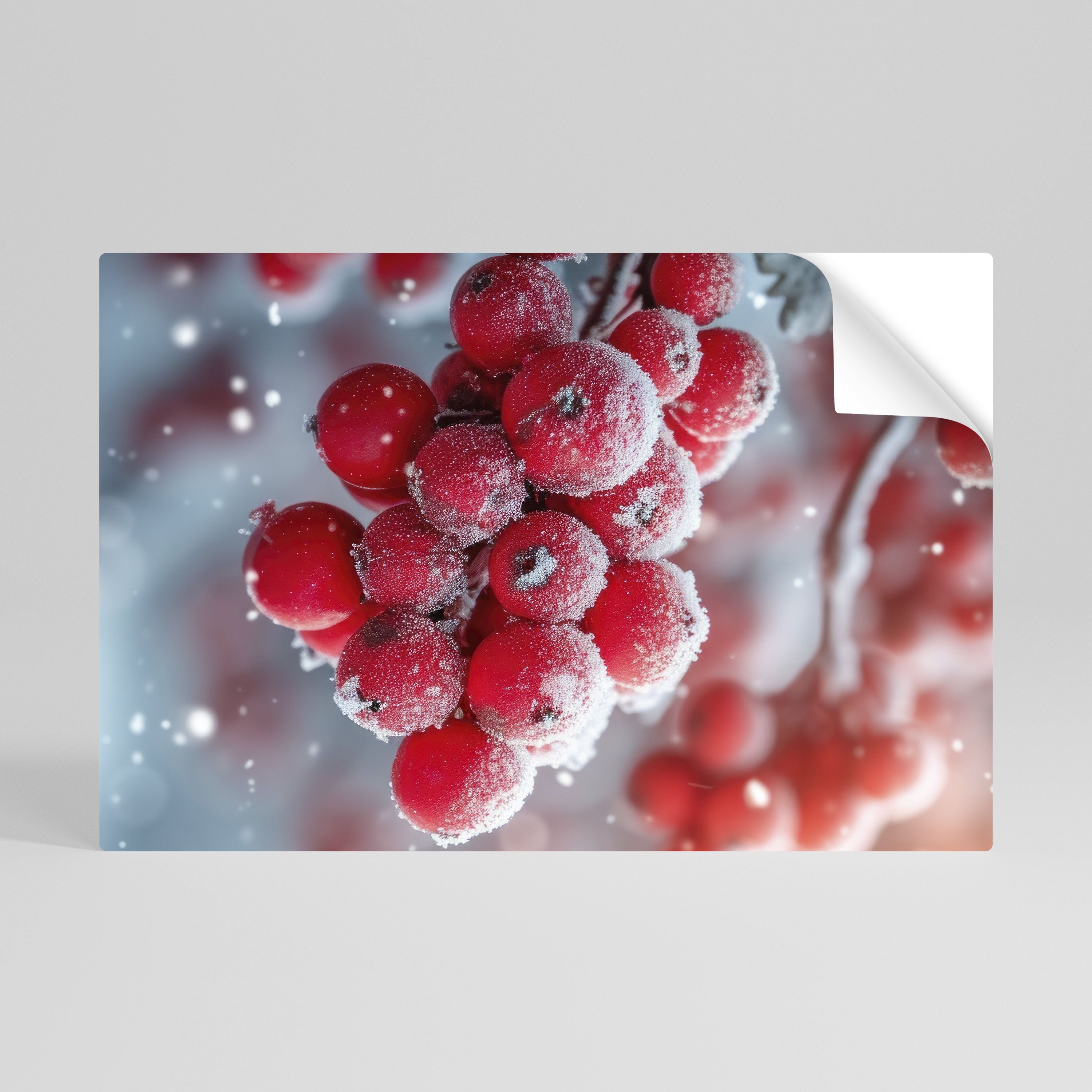 WINTER'S CRIMSON TREASURES Naklejka/Plakat poziomy