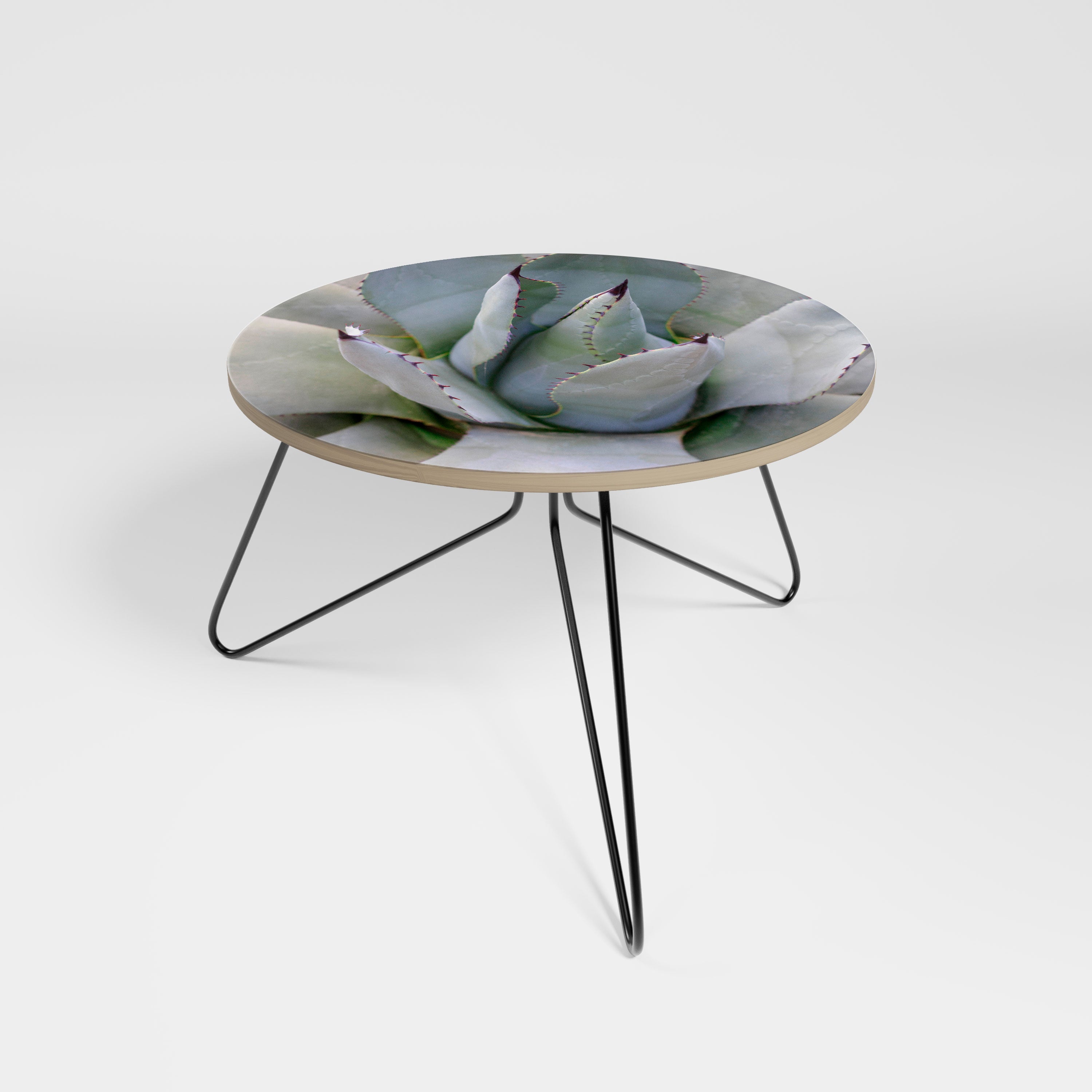 AGAVE ELEGANCE Stolik kawowy mały