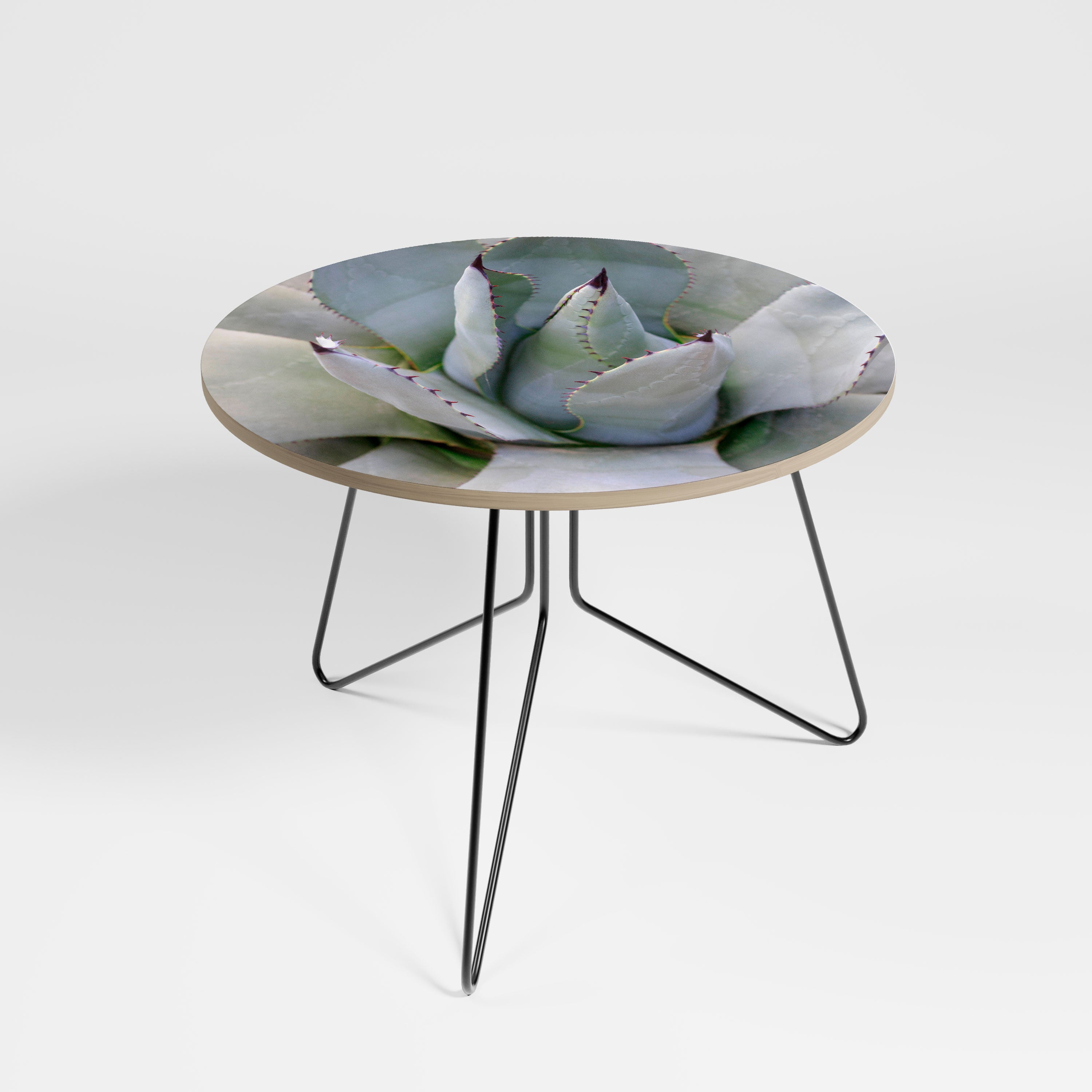 AGAVE ELEGANCE Stolik kawowy duży