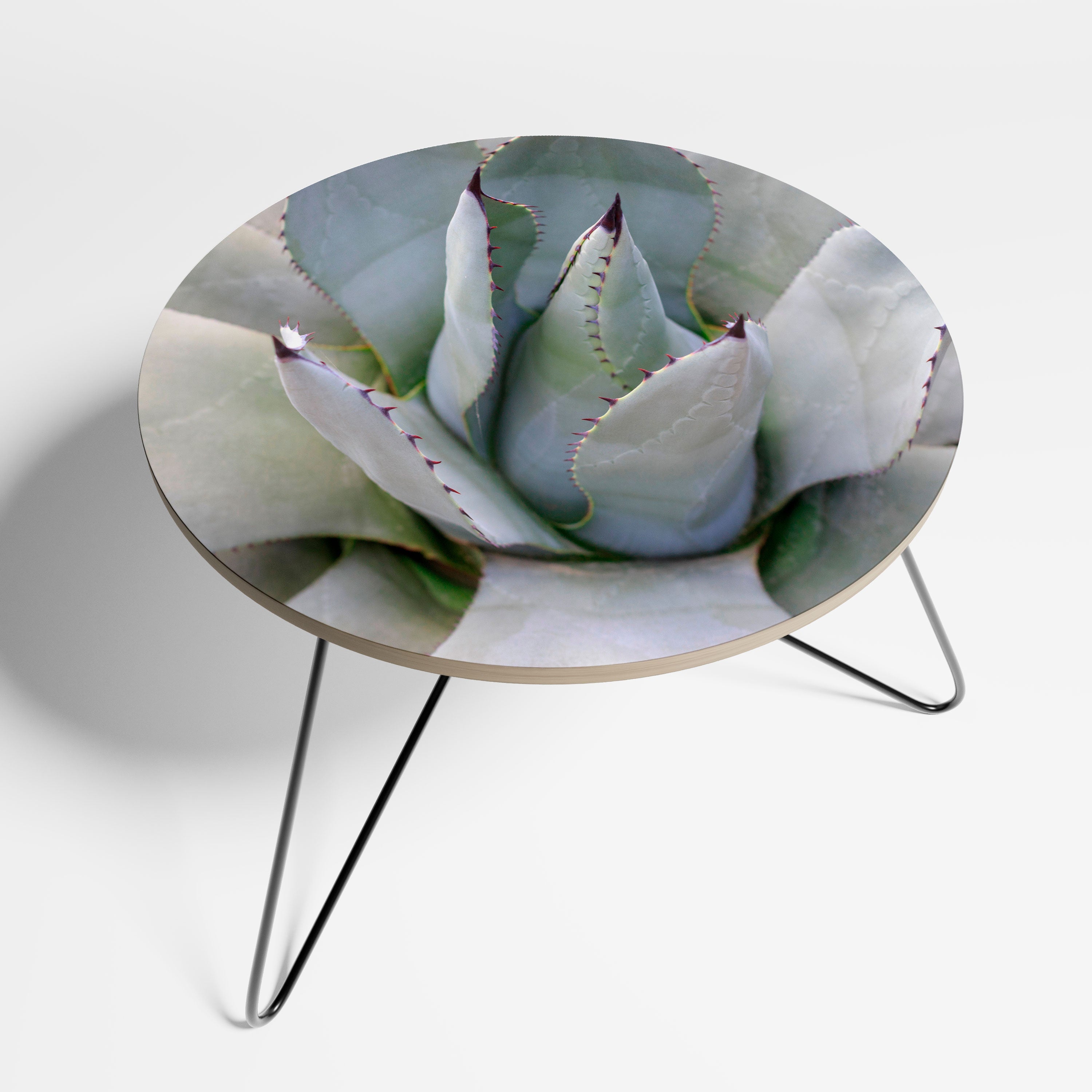 AGAVE ELEGANCE Stolik kawowy duży