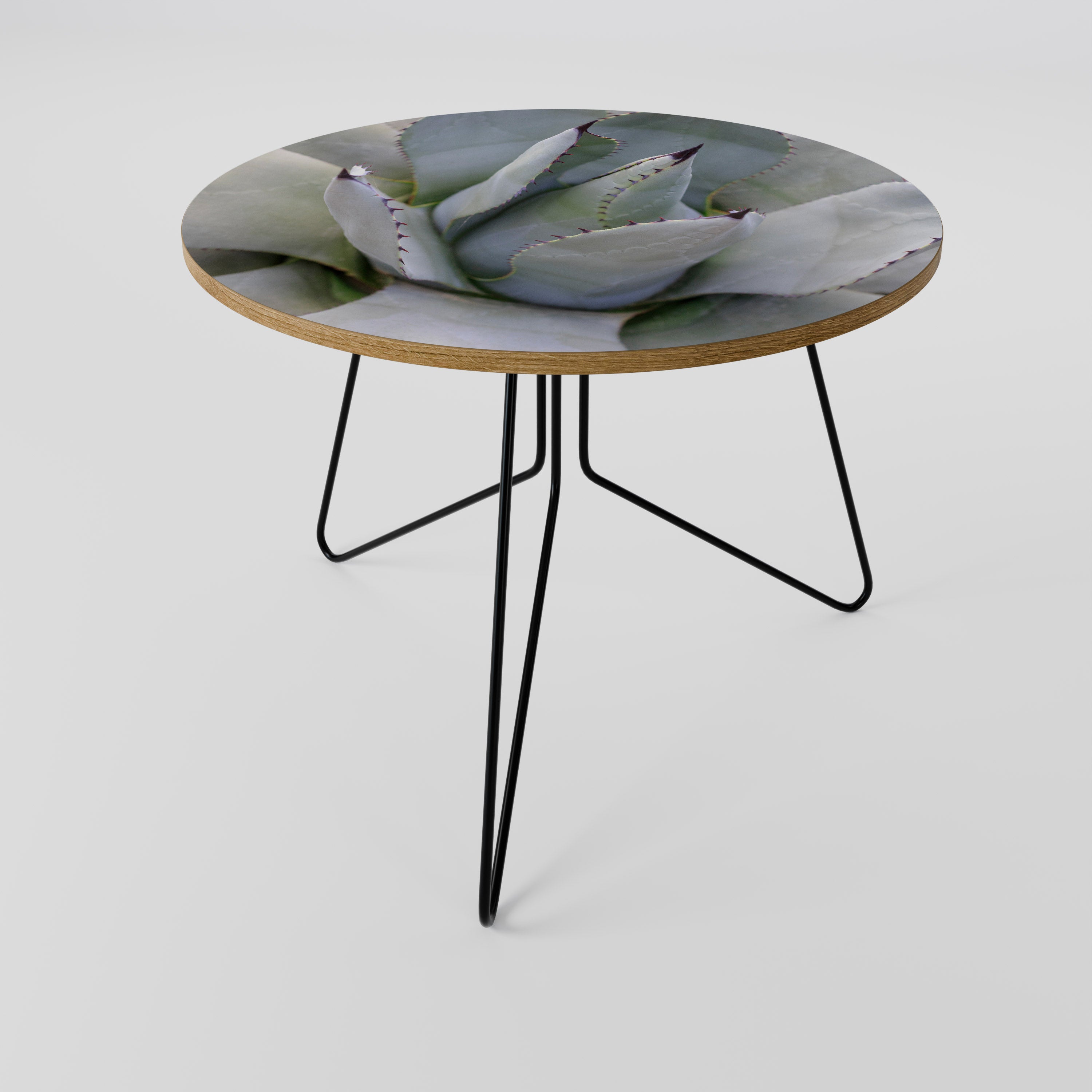 AGAVE ELEGANCE Stolik kawowy duży