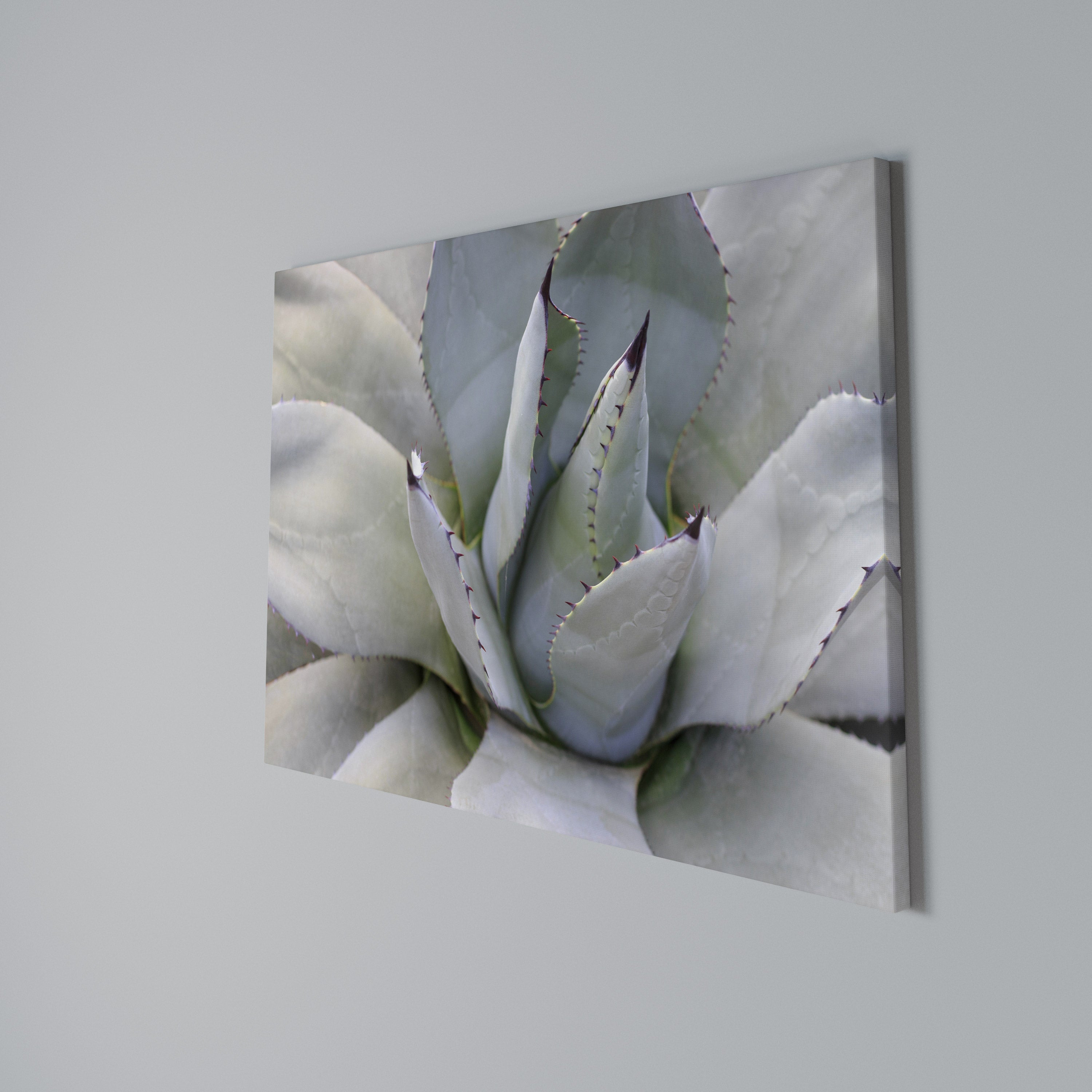 AGAVE ELEGANCE Poziomy obraz na płótnie