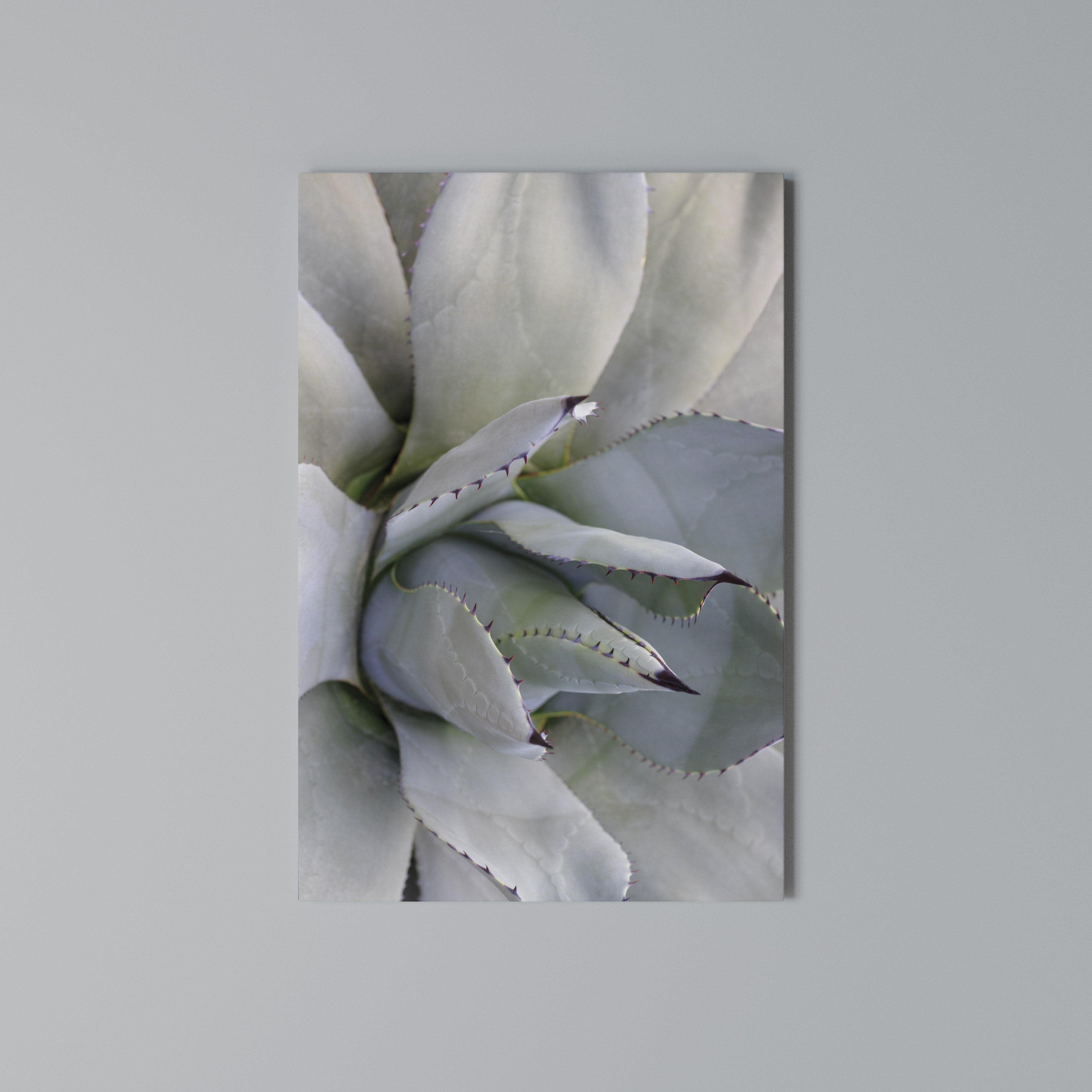 AGAVE ELEGANCE Pionowy obraz na płótnie