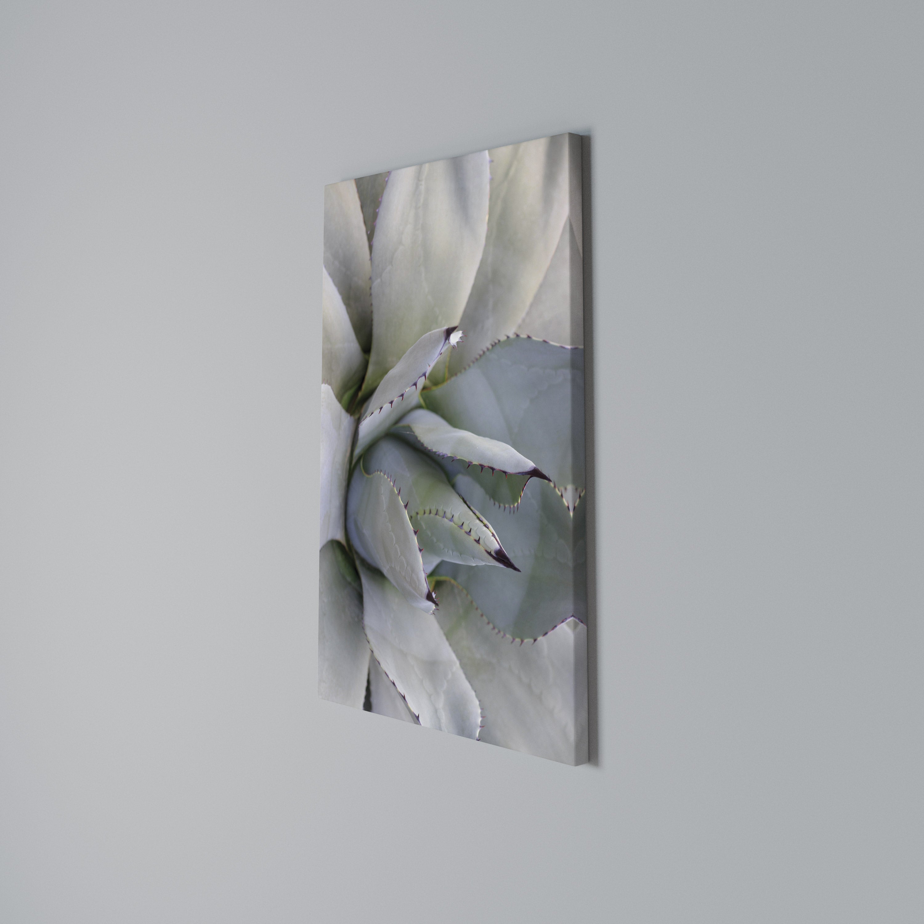 AGAVE ELEGANCE Pionowy obraz na płótnie