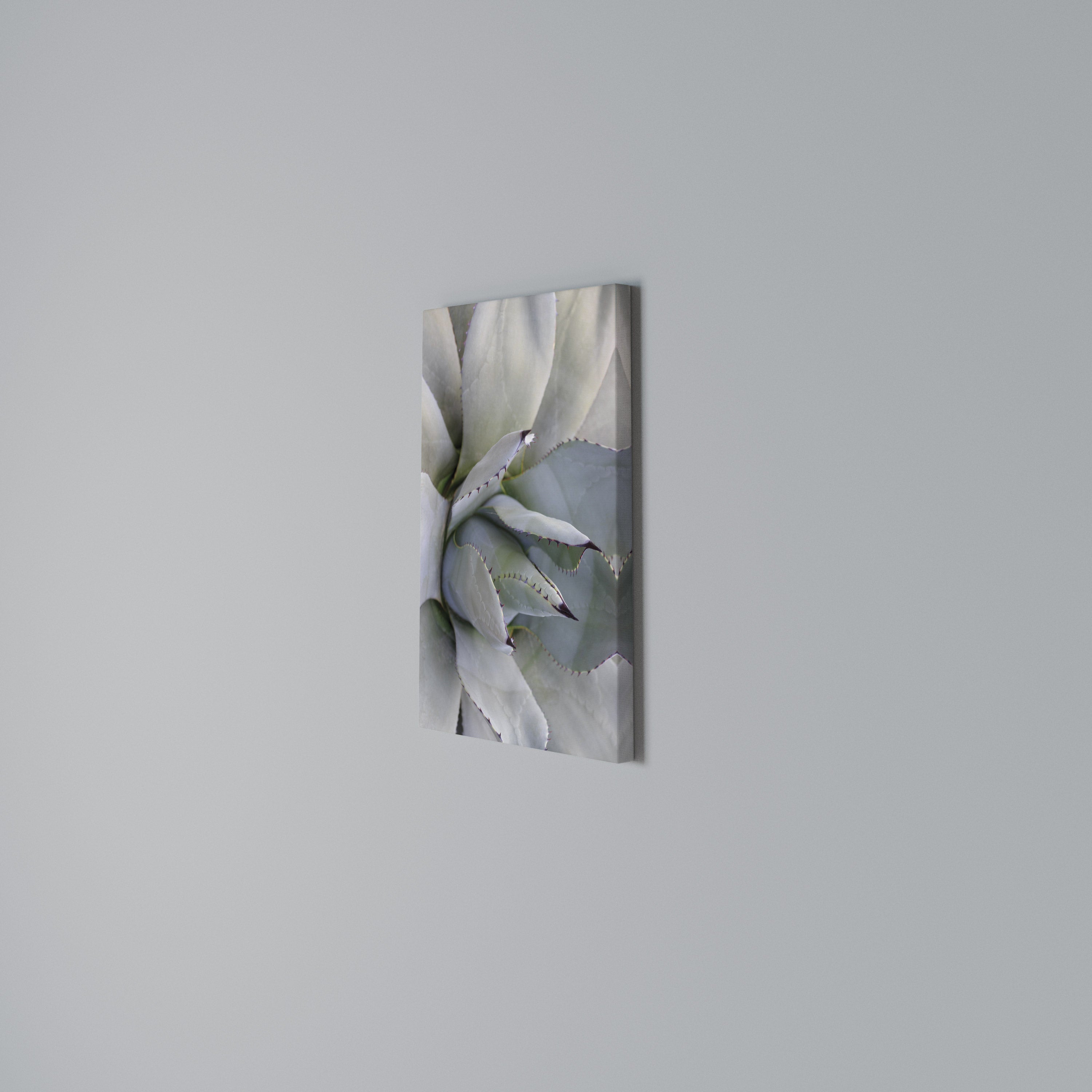 AGAVE ELEGANCE Pionowy obraz na płótnie