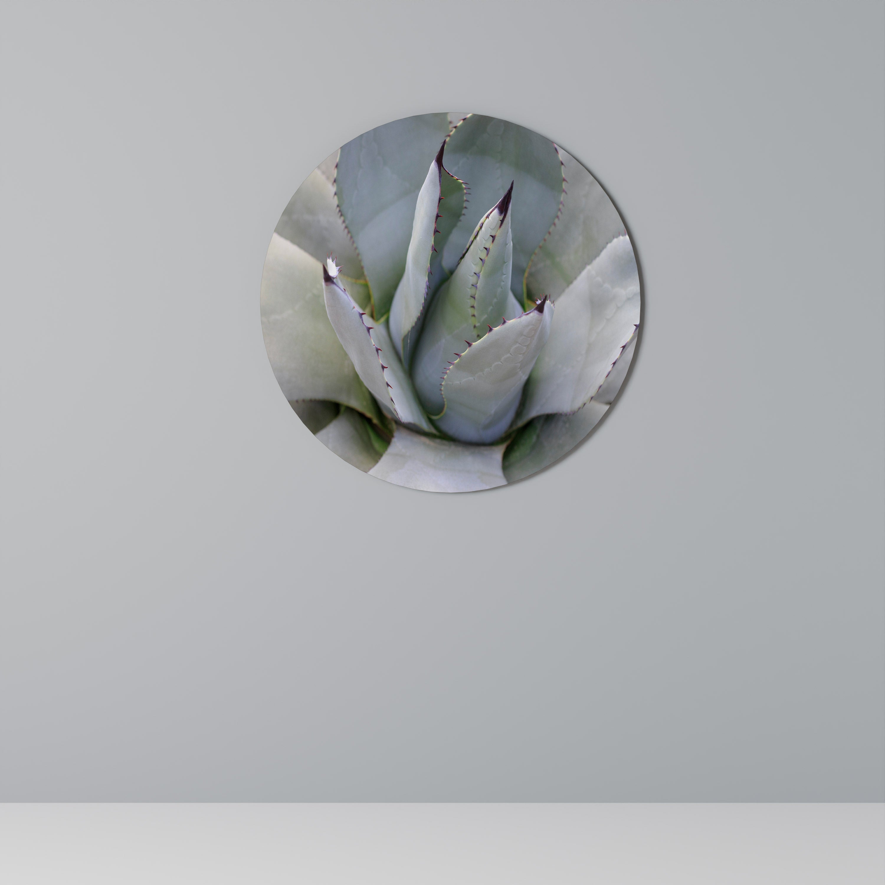AGAVE ELEGANCE Obraz okrągły