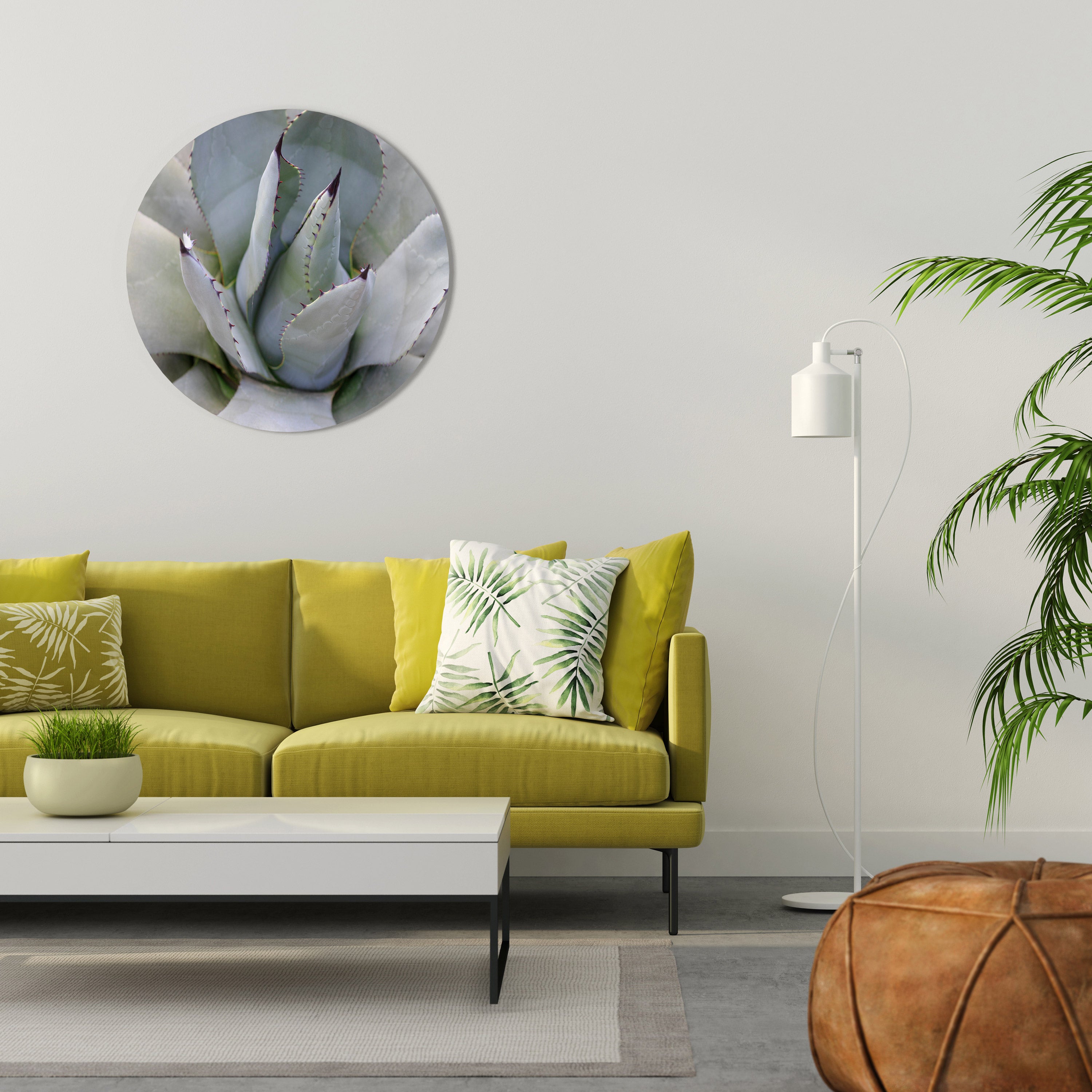 AGAVE ELEGANCE Obraz okrągły