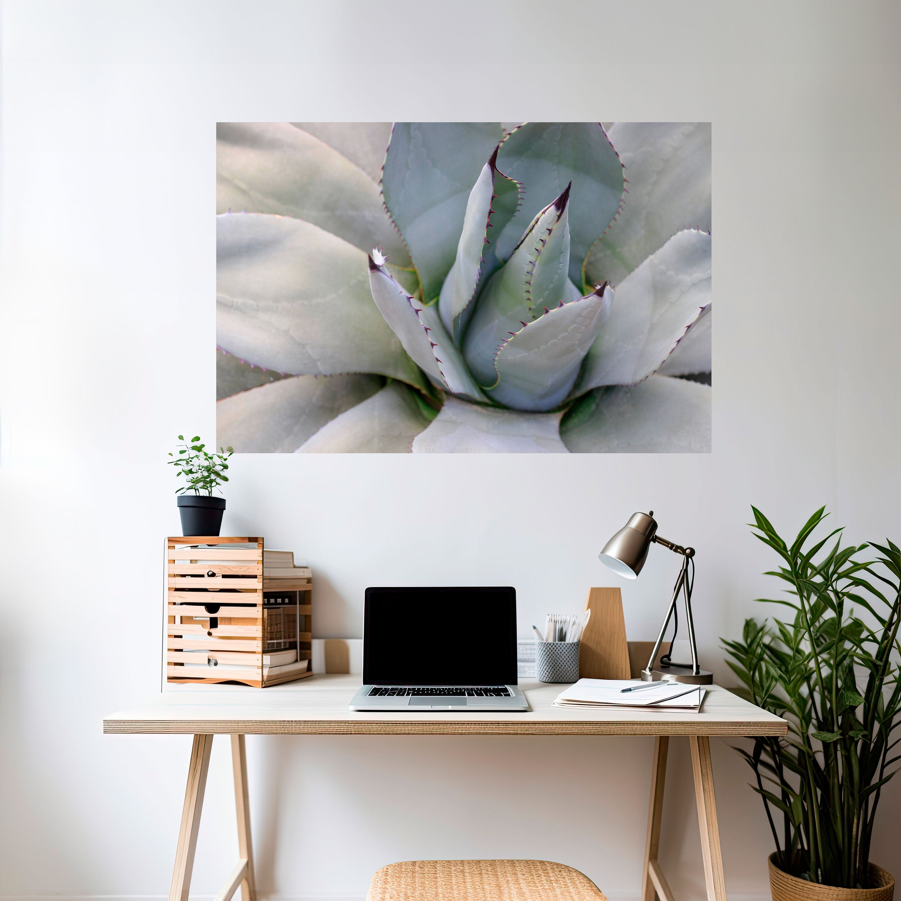 AGAVE ELEGANCE Naklejka/Plakat poziomy