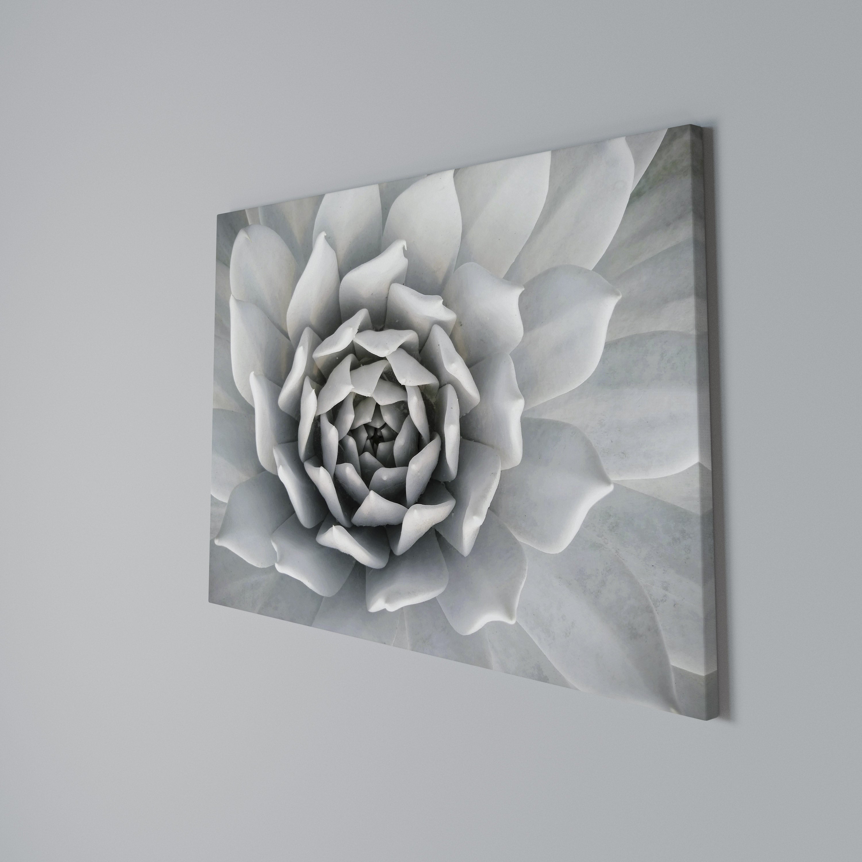 ELEGANT PETAL SWIRL Poziomy obraz na płótnie