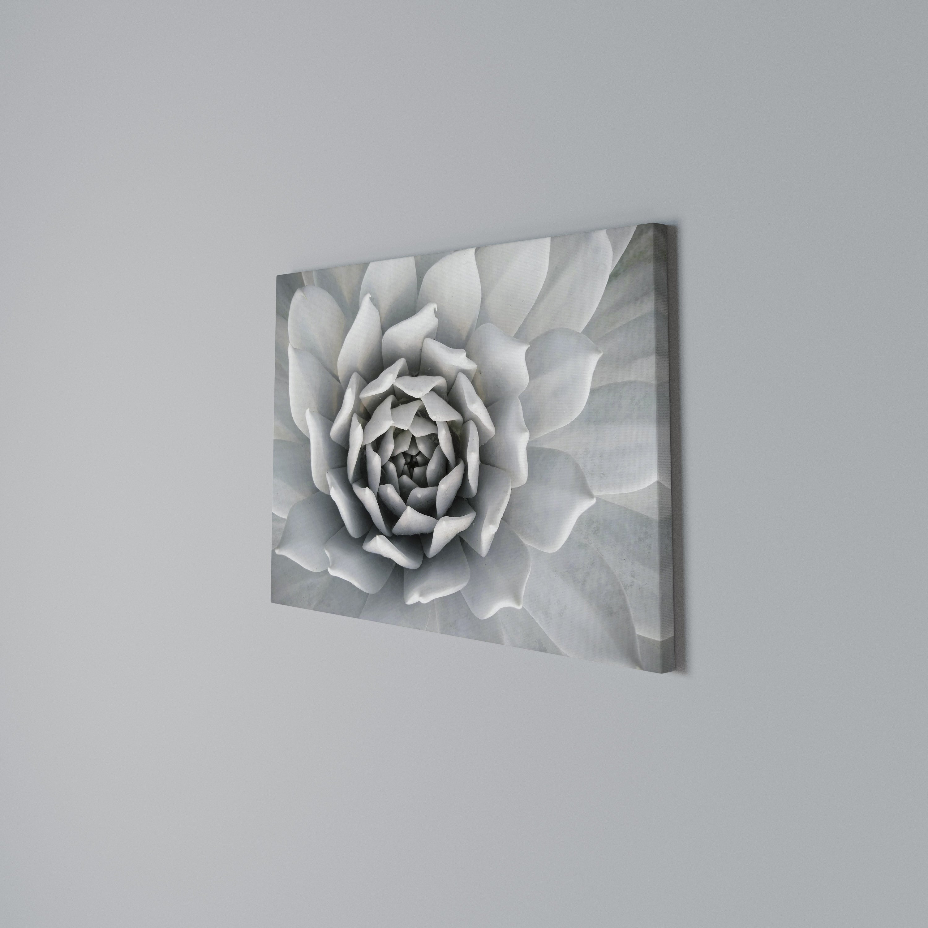 ELEGANT PETAL SWIRL Poziomy obraz na płótnie