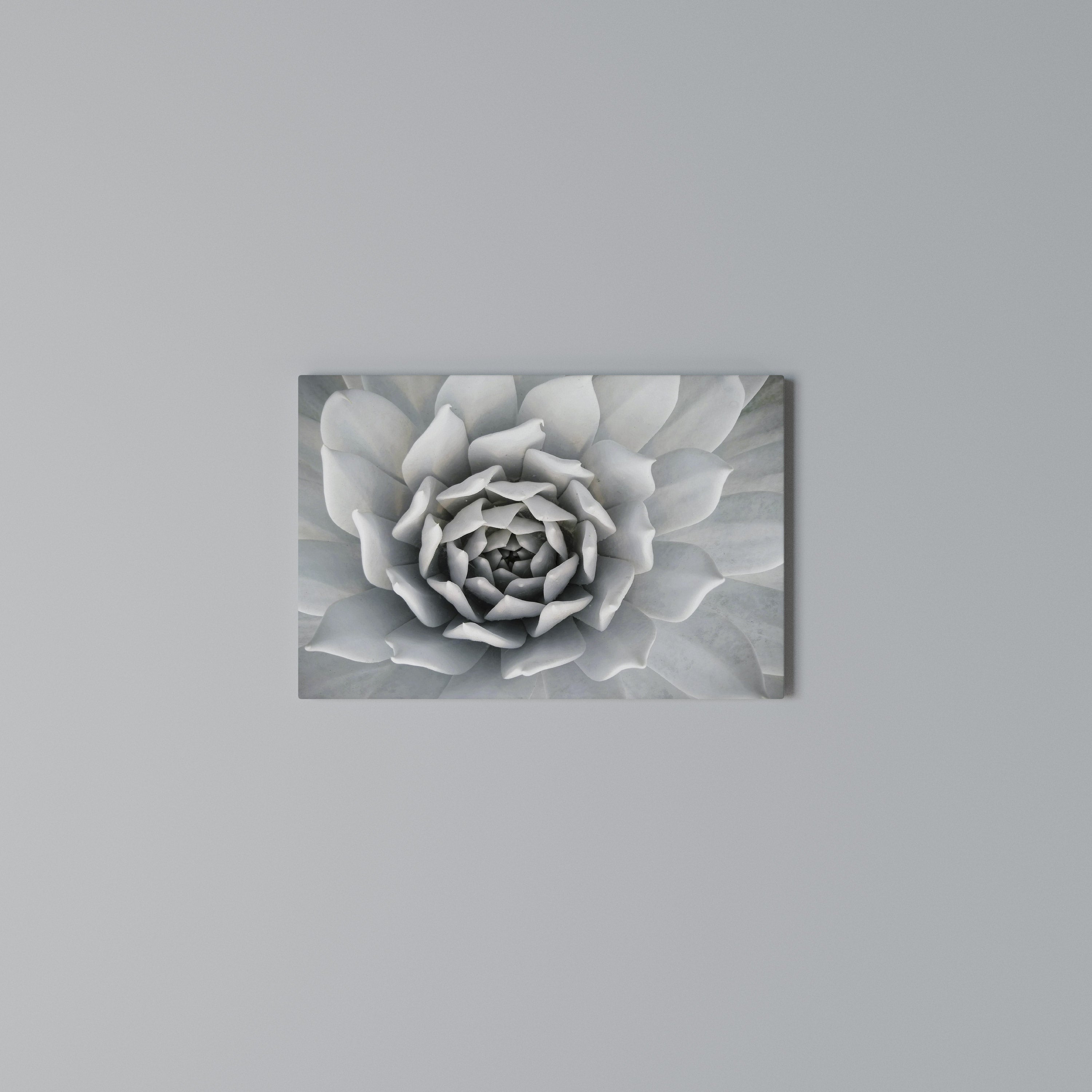 ELEGANT PETAL SWIRL Poziomy obraz na płótnie