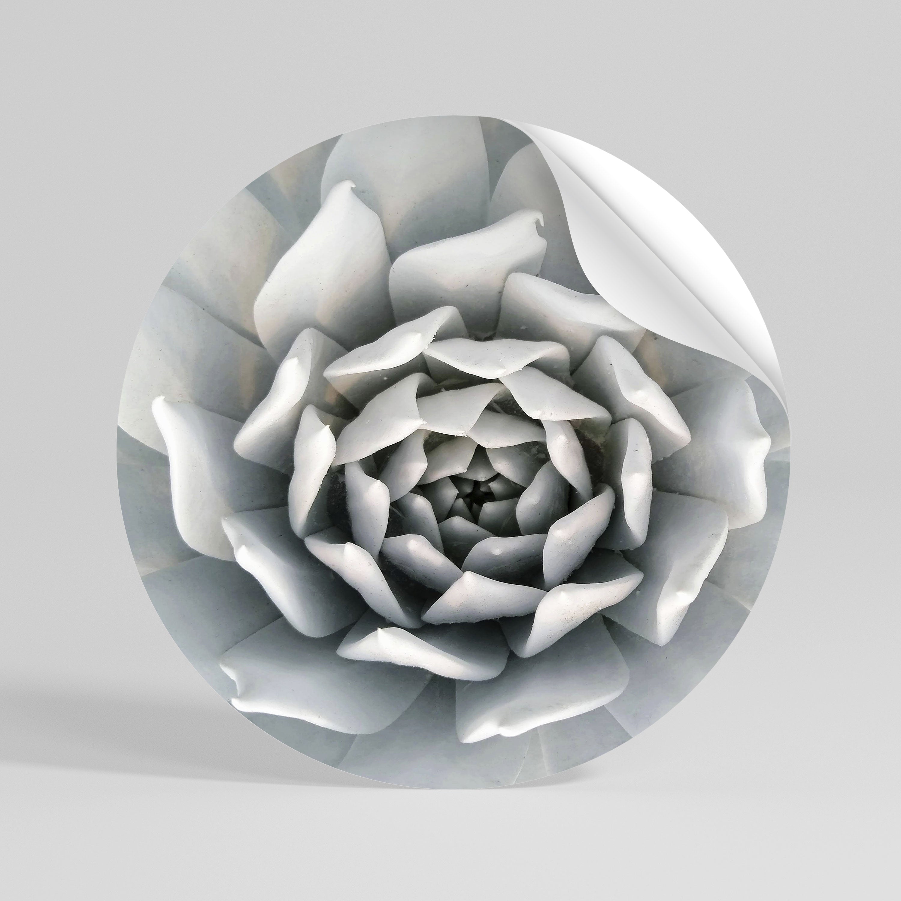 ELEGANT PETAL SWIRL Naklejka - okrągła