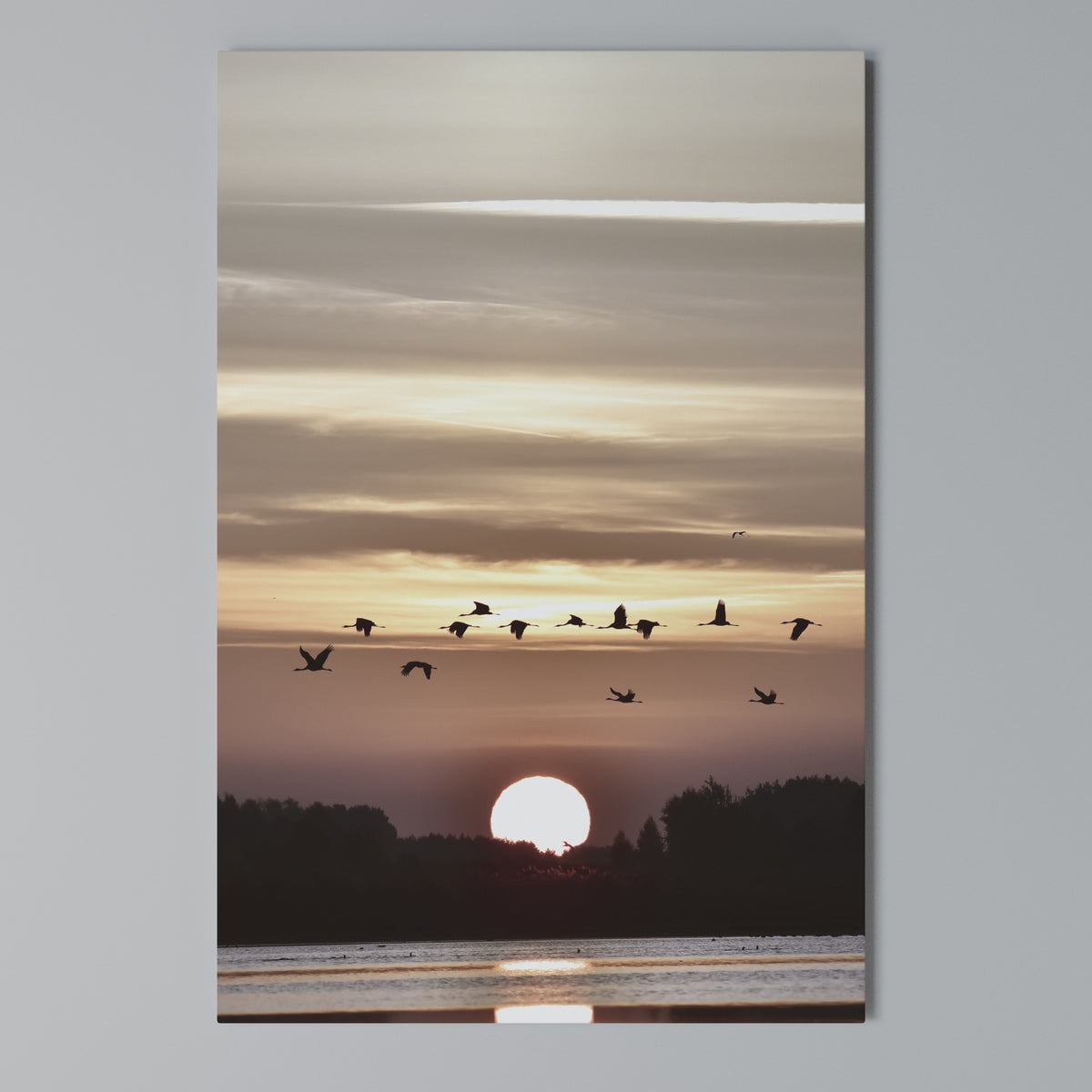 SUNSET FLIGHT SYMPHONY Pionowy obraz na płótnie