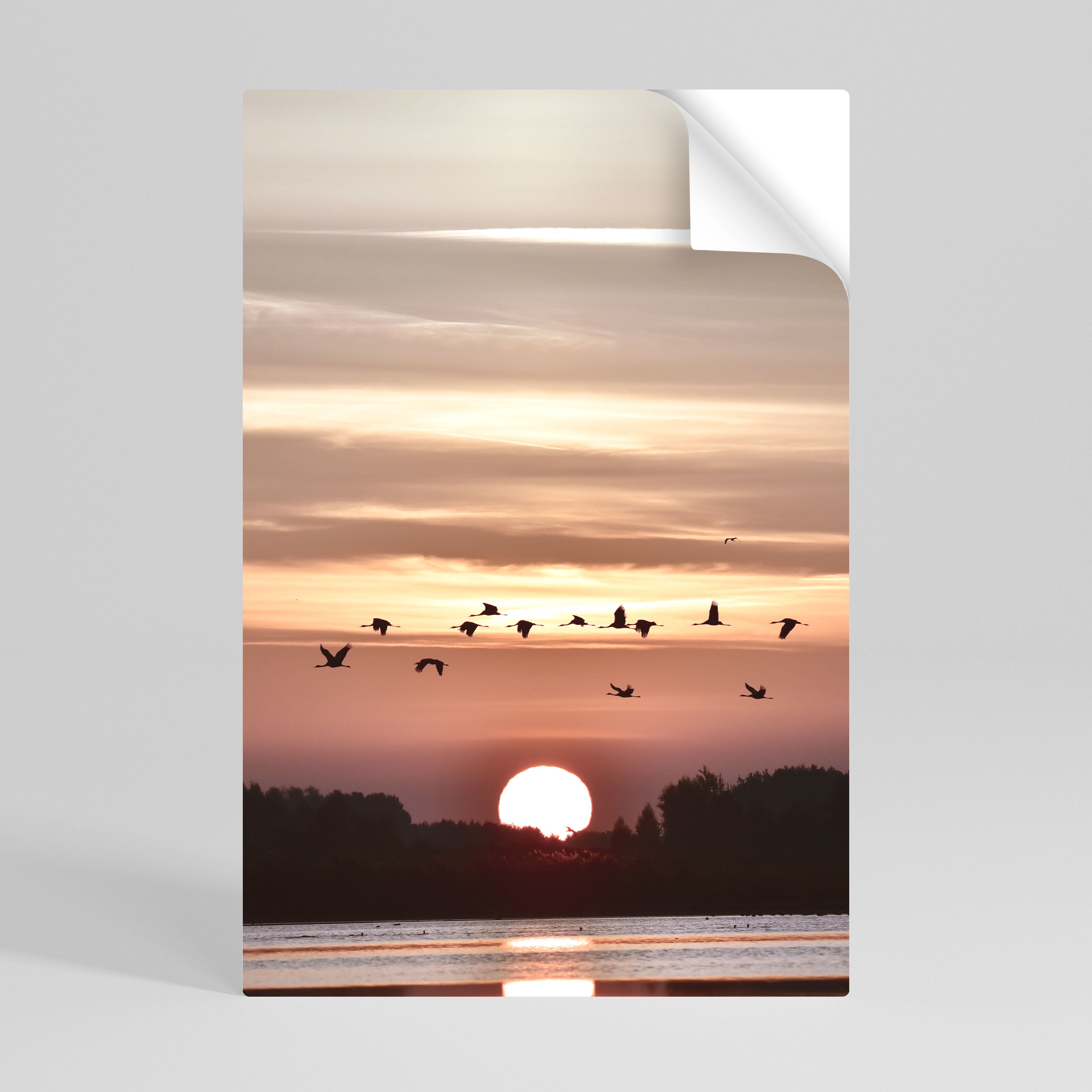 SUNSET FLIGHT SYMPHONY Naklejka/Plakat pionowy