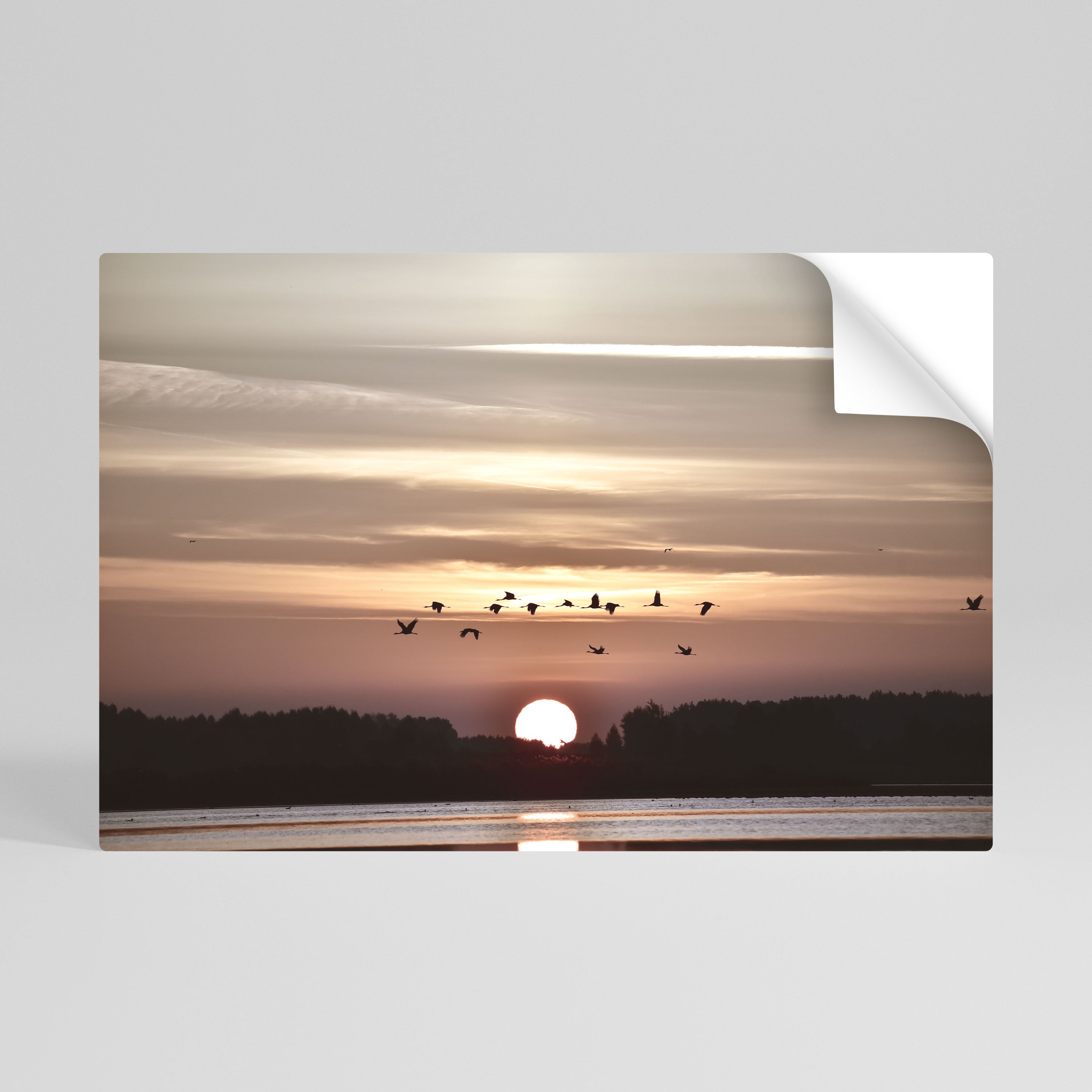 SUNSET FLIGHT SYMPHONY Naklejka/Plakat poziomy