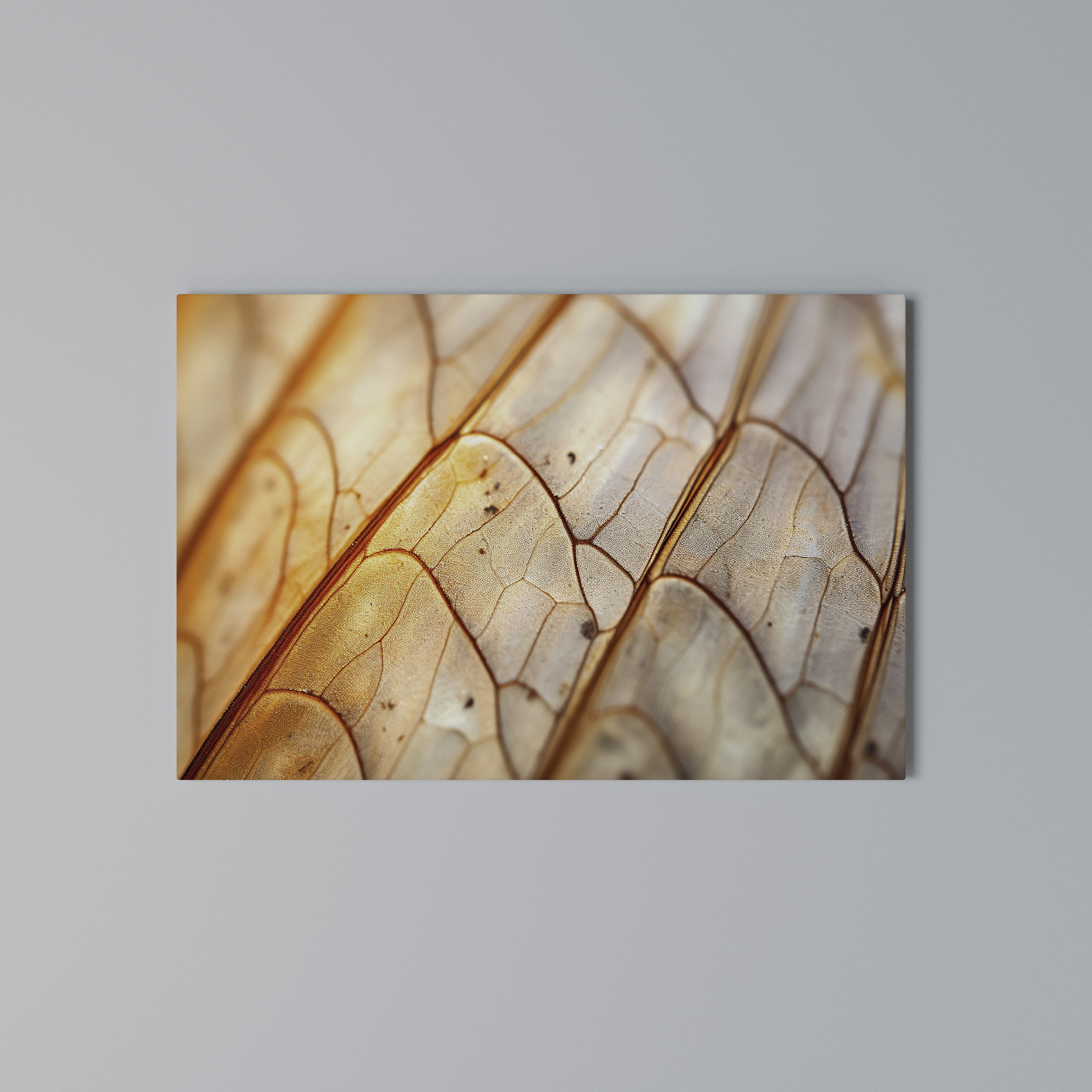 ELEGANT VEINING Poziomy obraz na płótnie