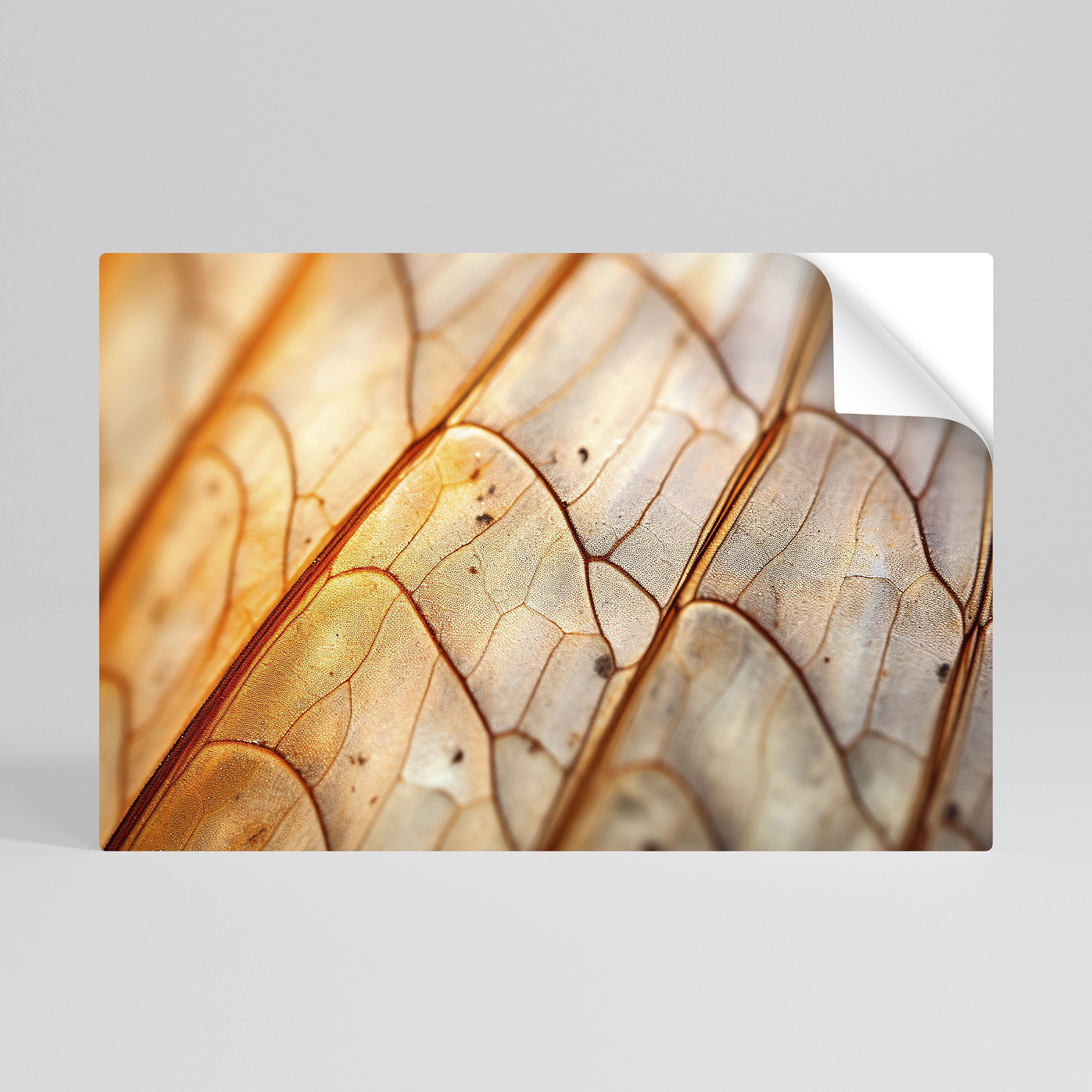 ELEGANT VEINING Naklejka/Plakat poziomy