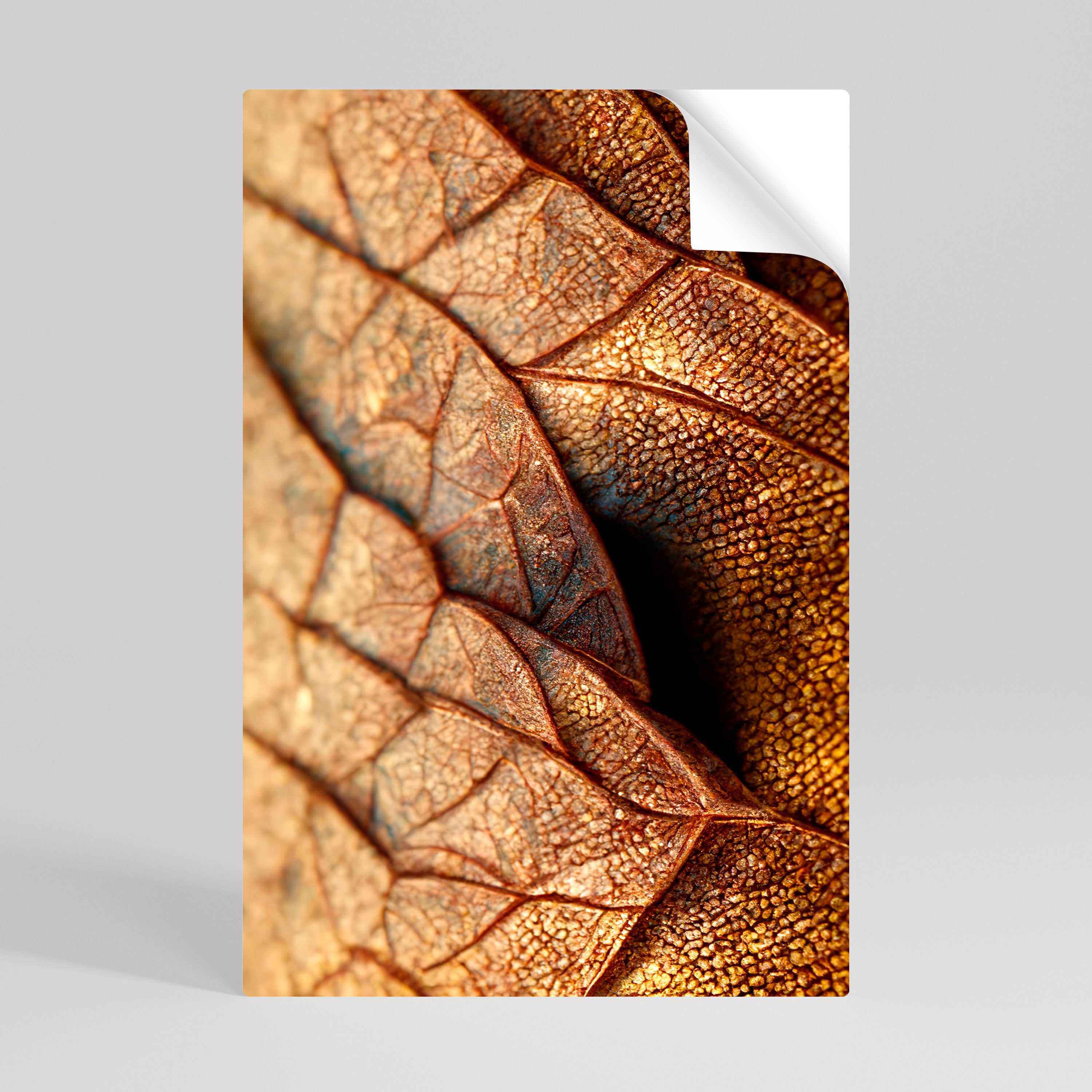 RUSTIC TEXTURE STUDY Naklejka/Plakat pionowy