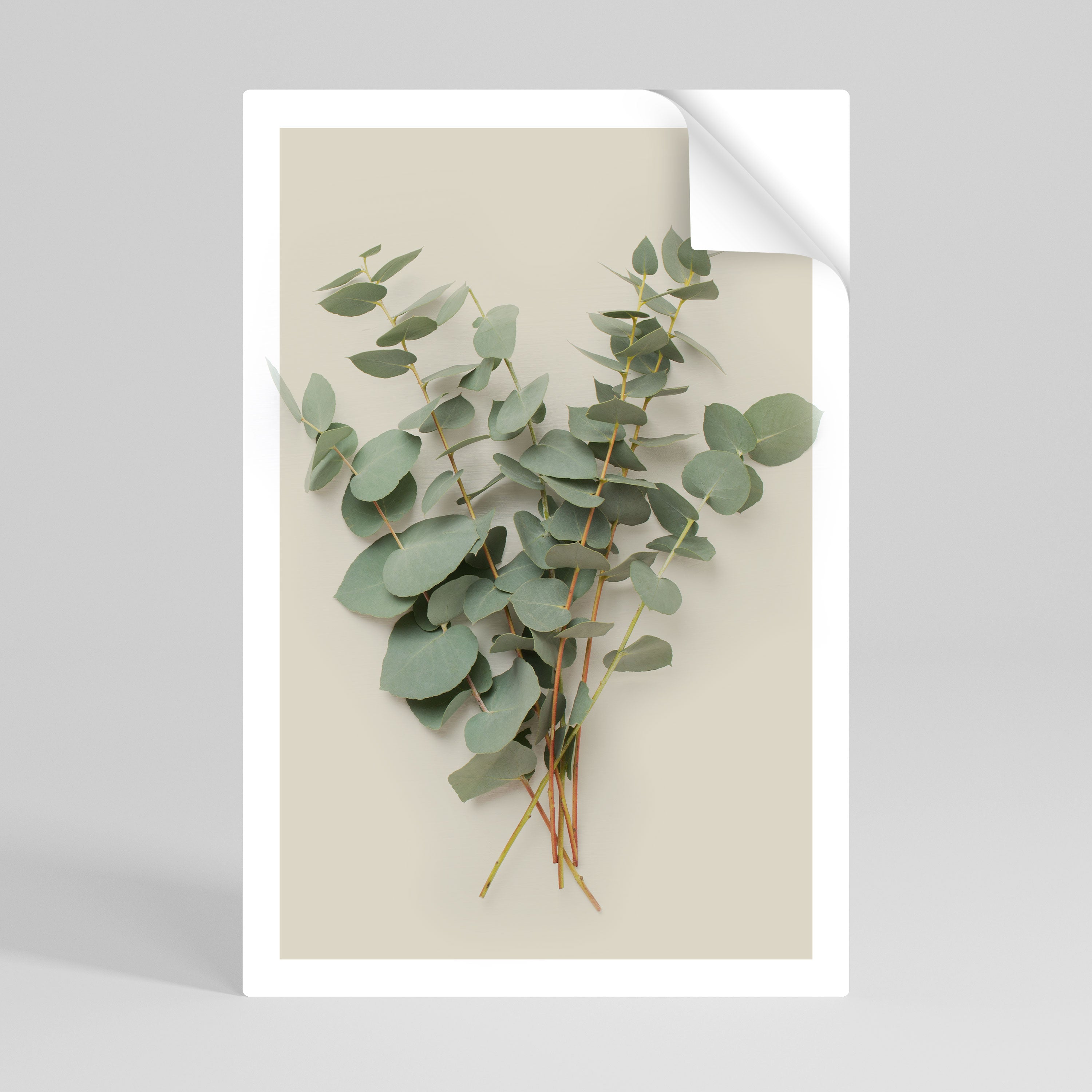 FOLIAGE FANTASIES Naklejka/Plakat pionowy