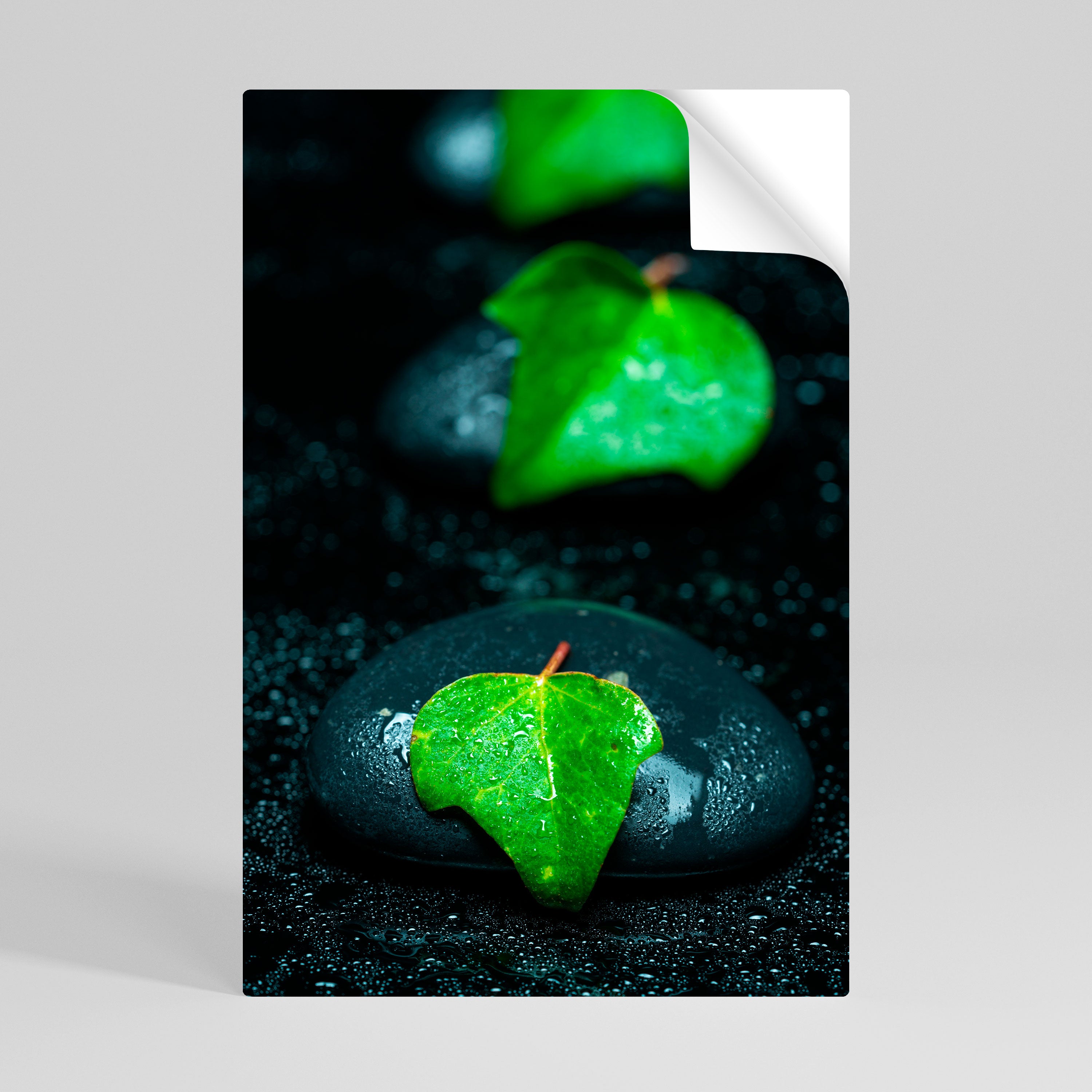 RAINDROPS ON STONE Naklejka/Plakat pionowy