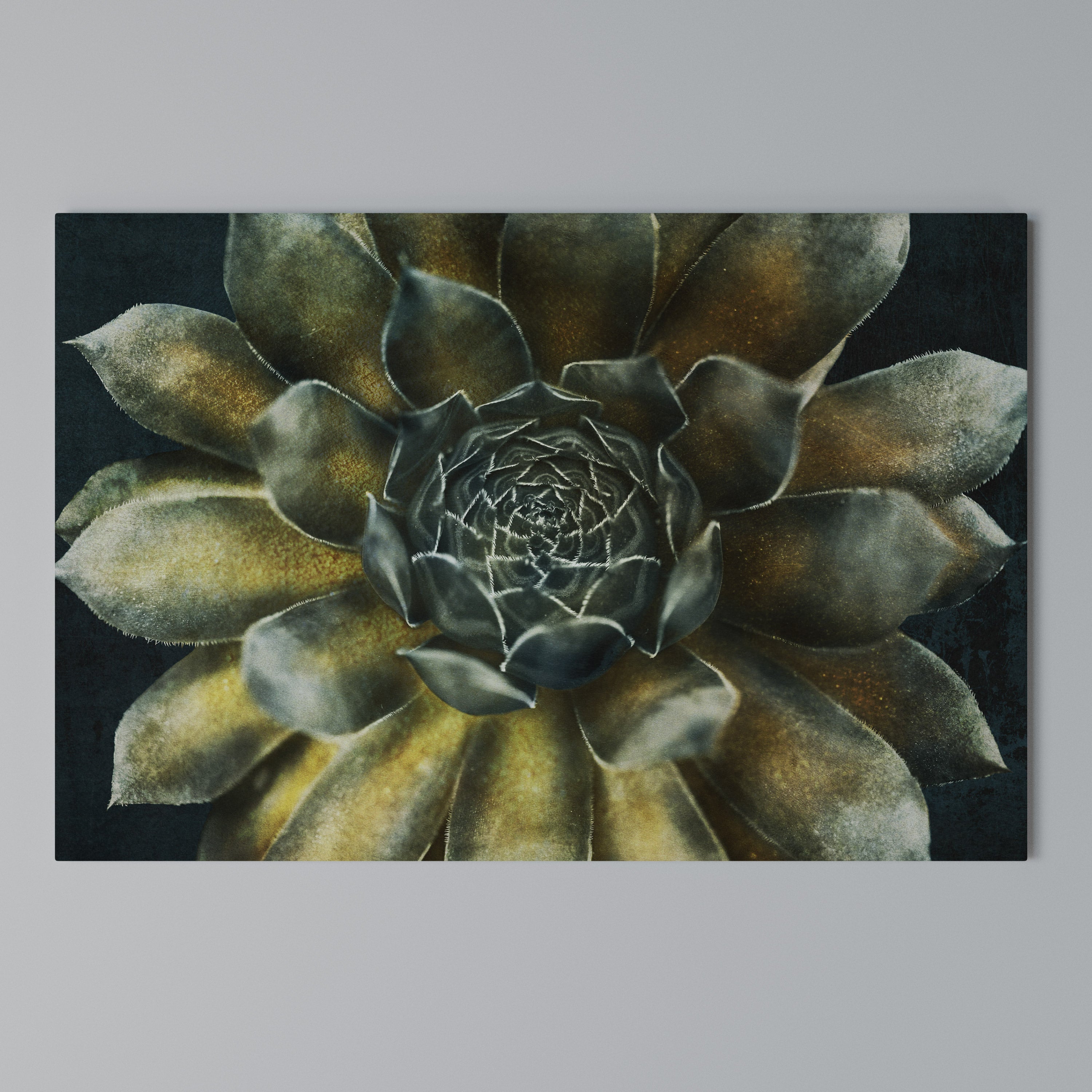 MYSTICAL SUCCULENT WHIRL Poziomy obraz na płótnie