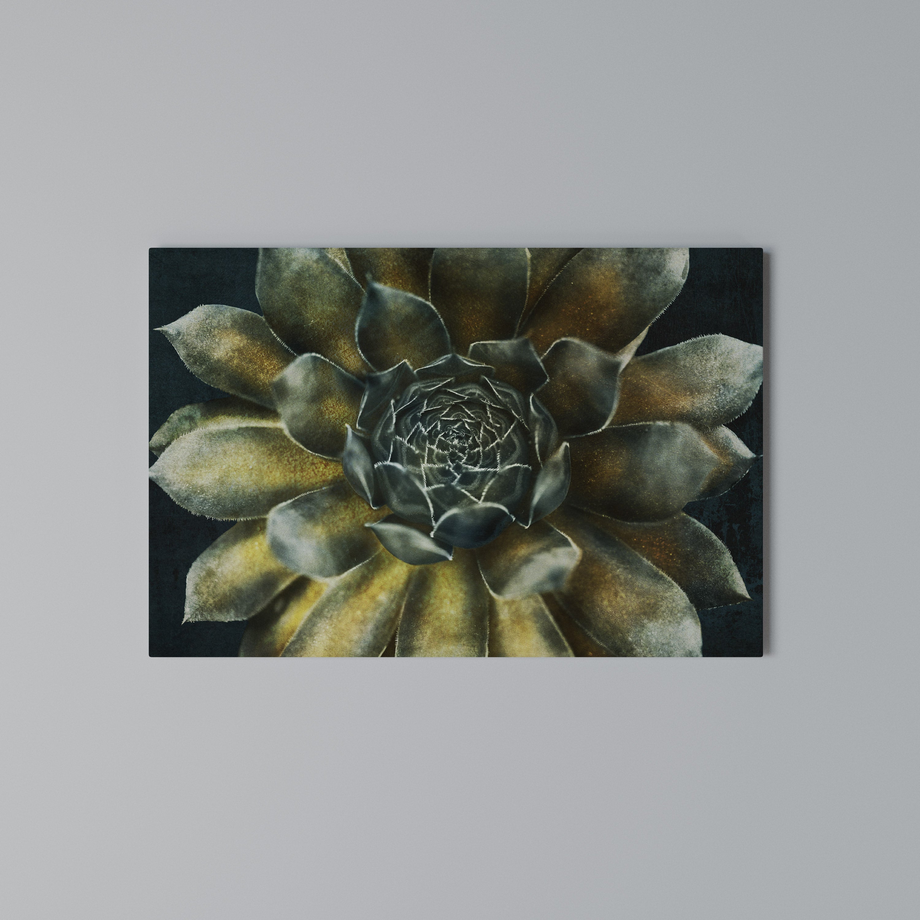 MYSTICAL SUCCULENT WHIRL Poziomy obraz na płótnie