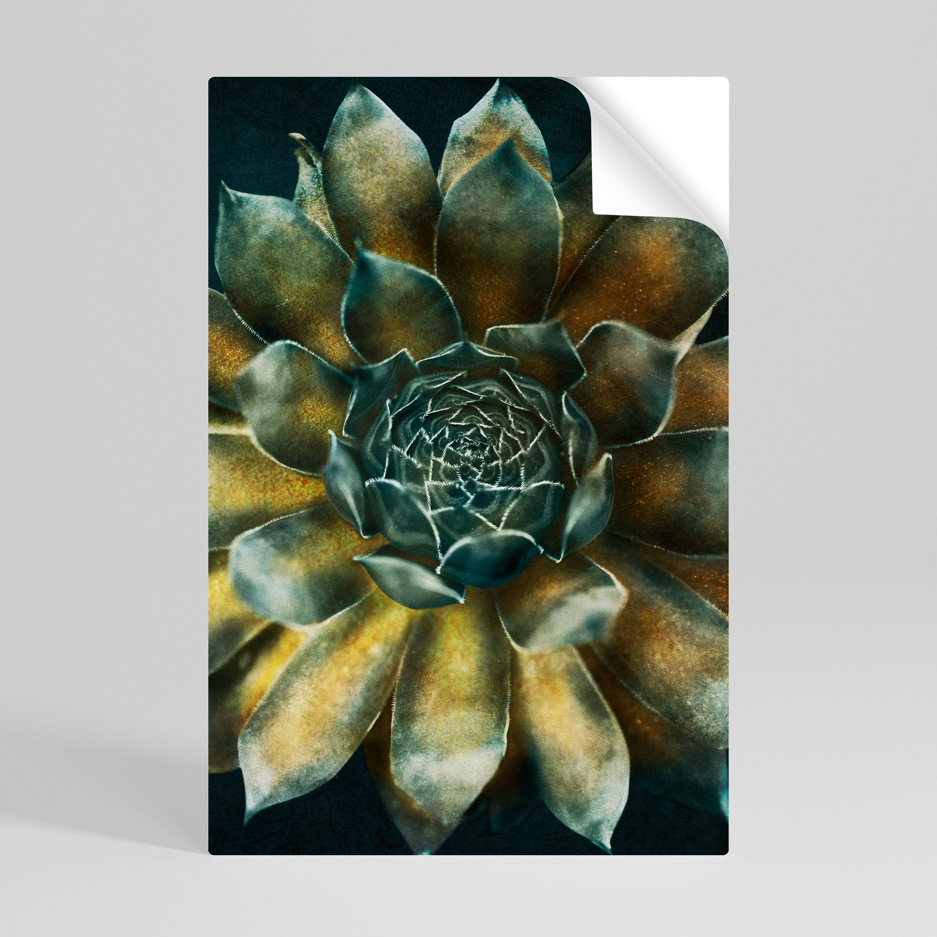 MYSTICAL SUCCULENT WHIRL Naklejka/Plakat pionowy