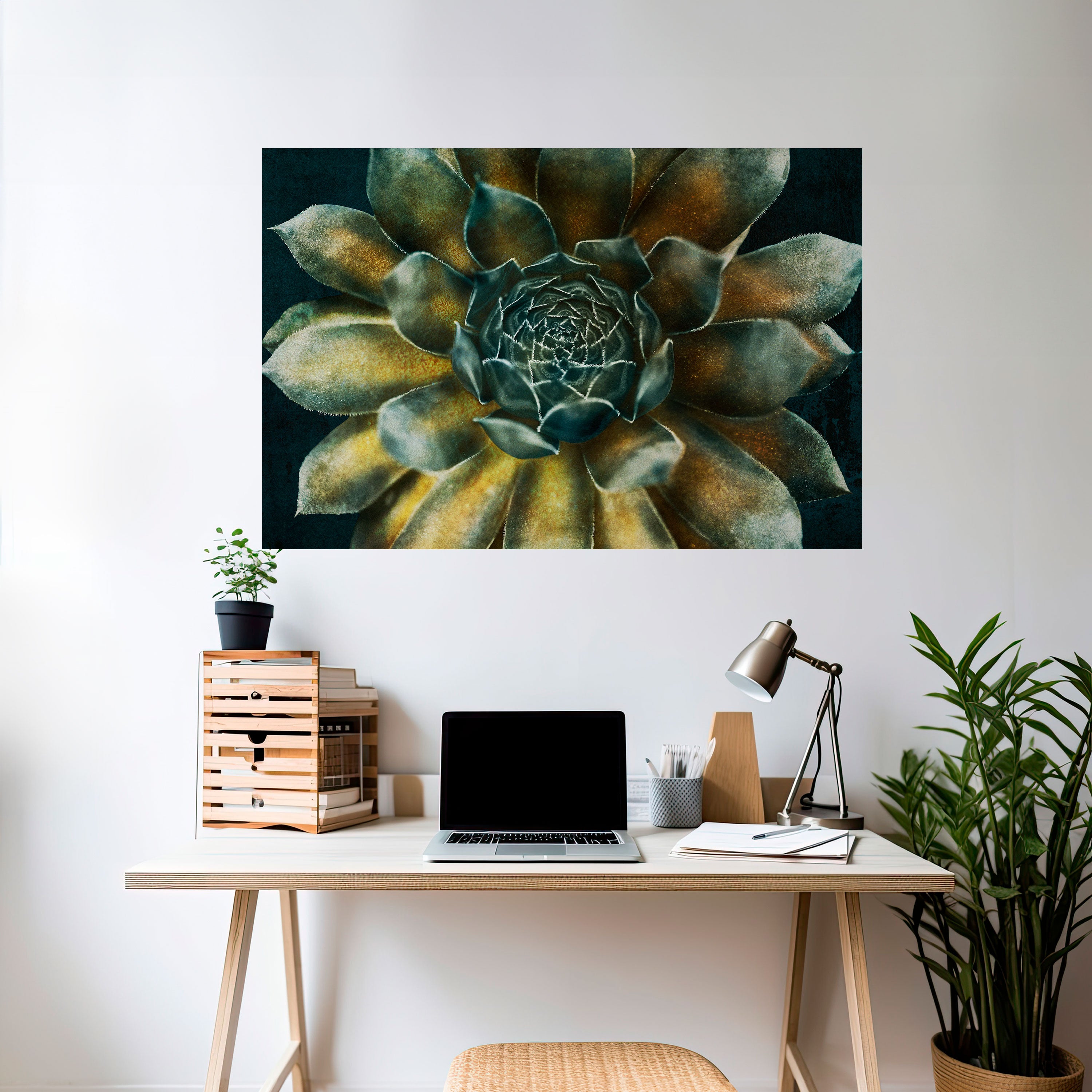MYSTICAL SUCCULENT WHIRL Naklejka/Plakat poziomy