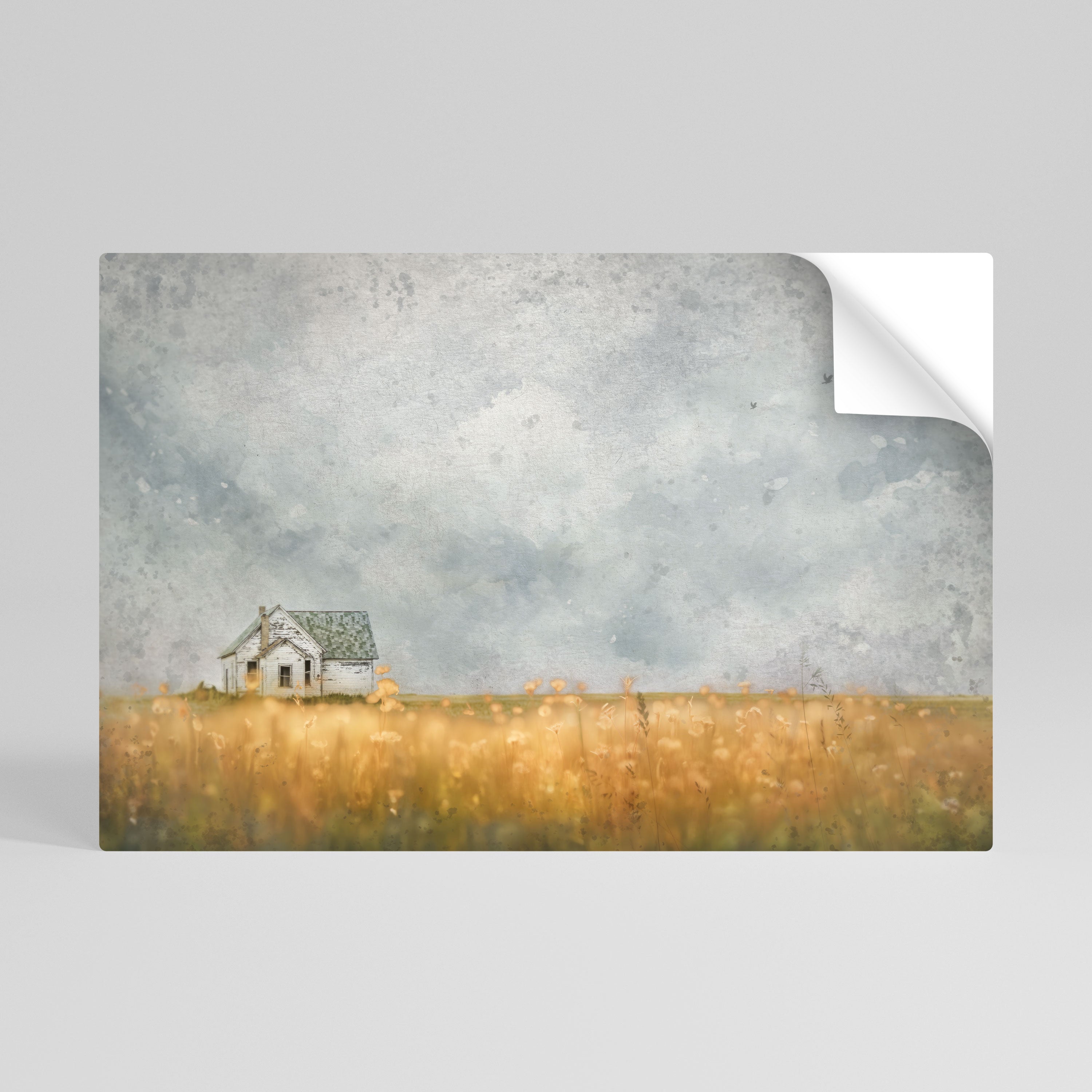 FIELDS OF FADING LIGHT Naklejka/Plakat poziomy