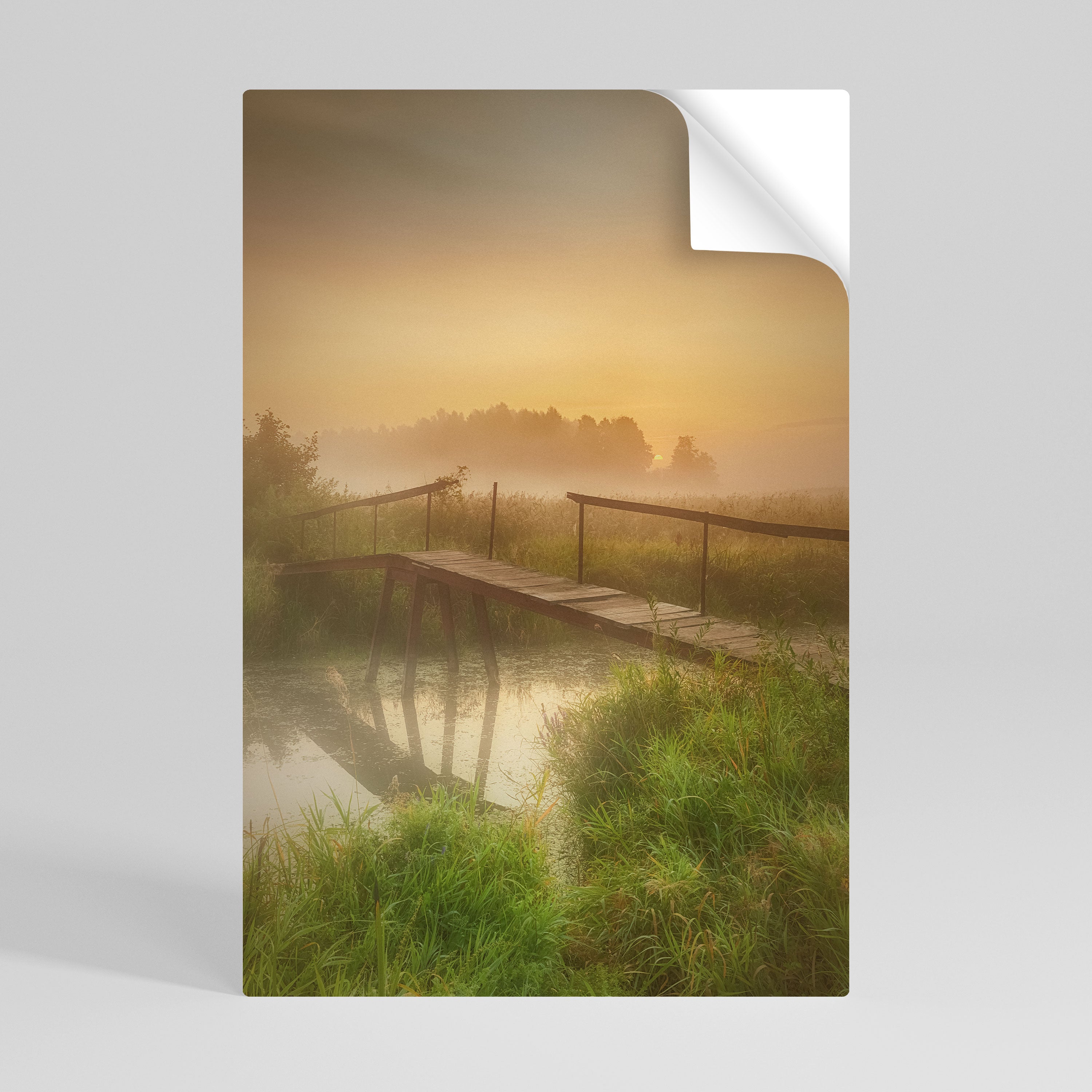 DREAMY HAZE Naklejka/Plakat pionowy