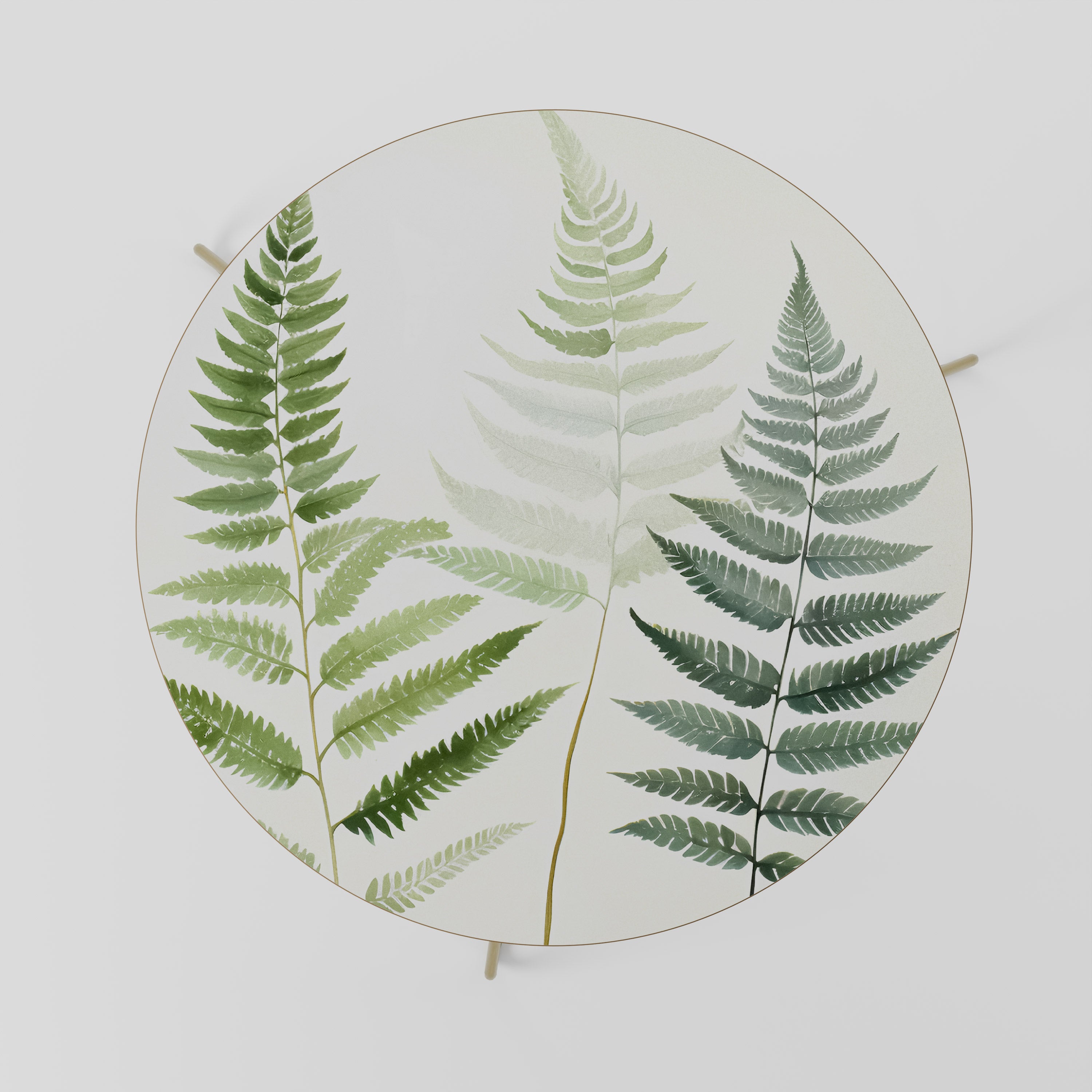 FERN MAJESTY Stolik kawowy duży