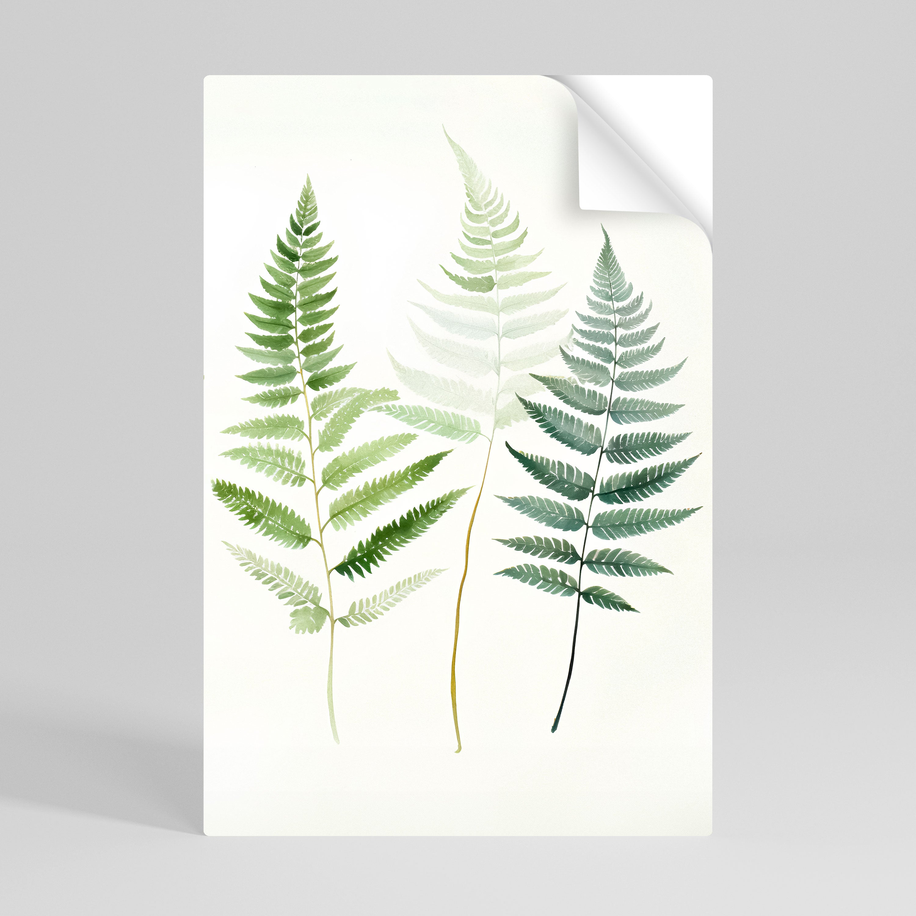 FERN MAJESTY Naklejka/Plakat pionowy